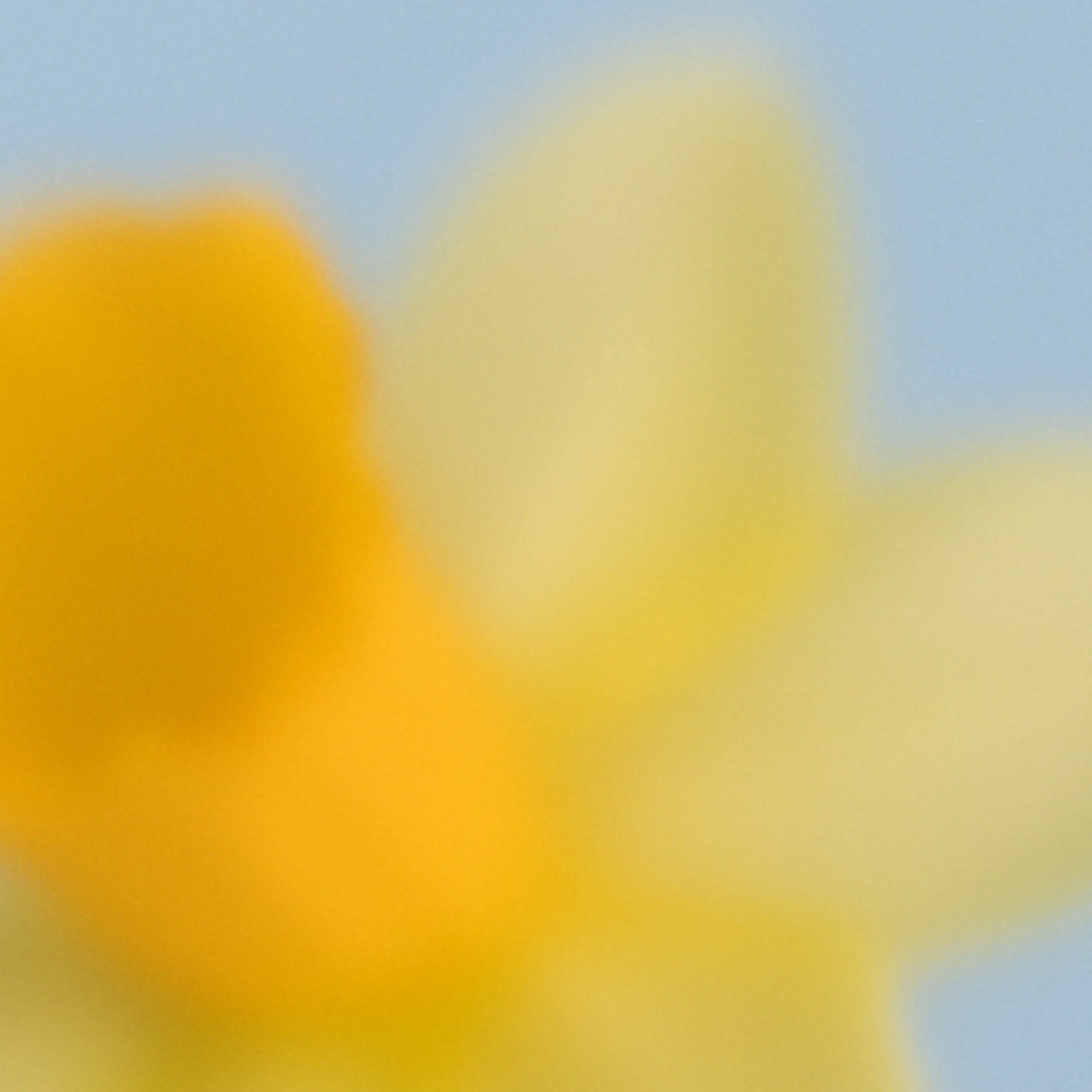 Fragrance-free formula safe for chemo-sensitive skin