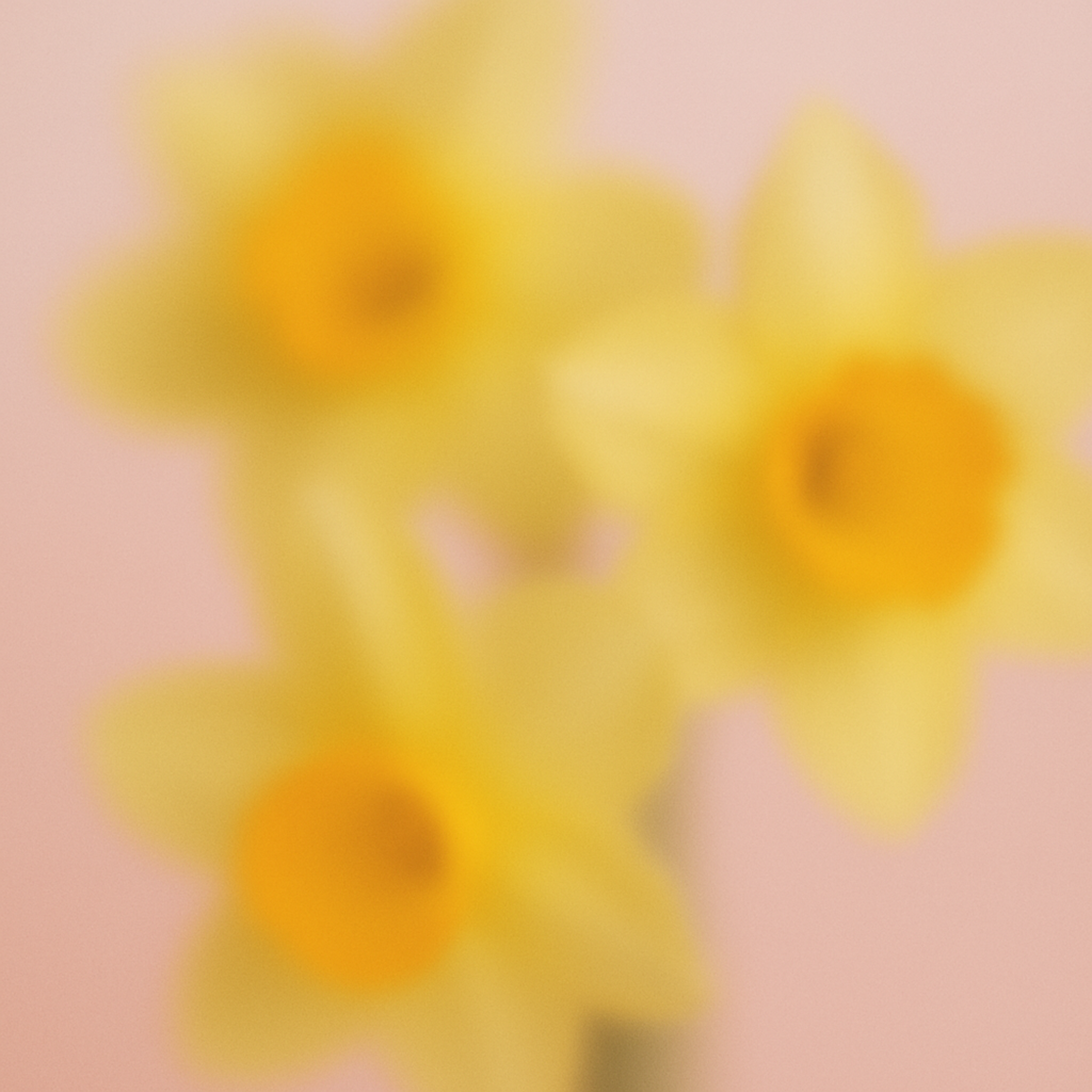 Cruelty-free skincare for women in treatment
