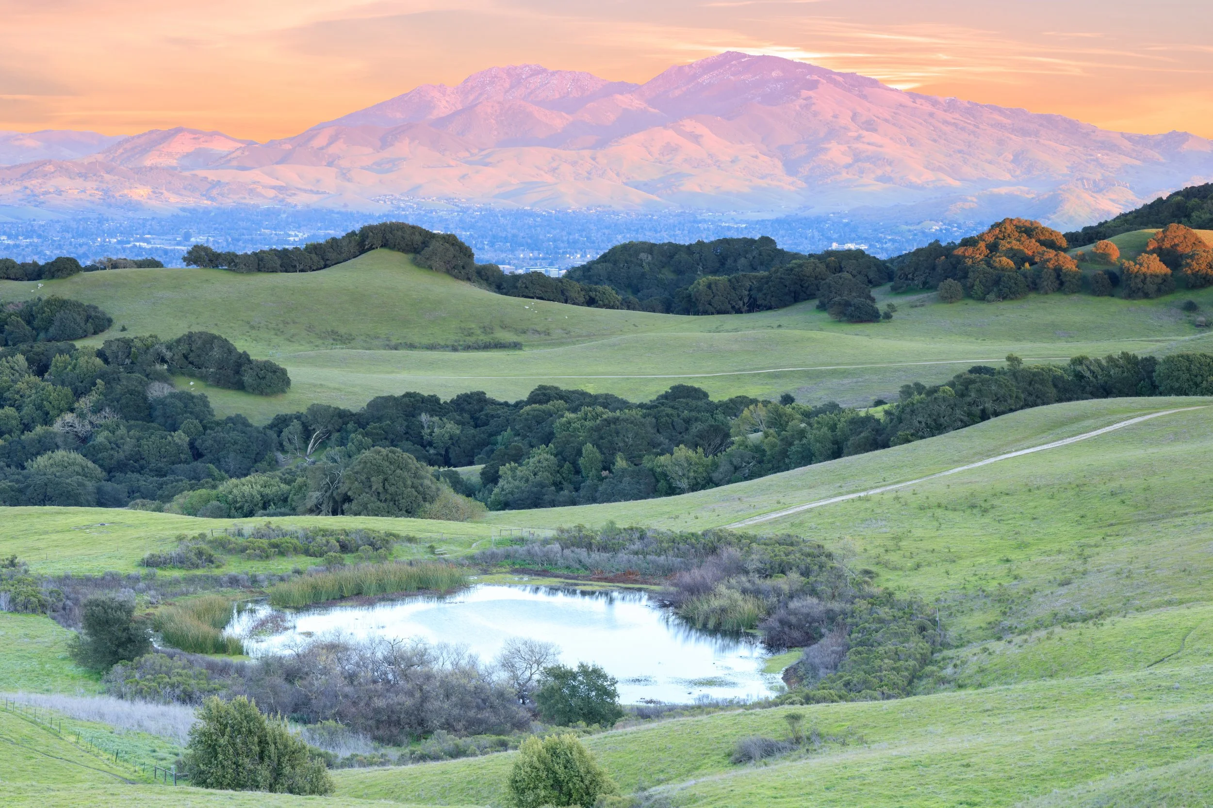 peaceful natural setting