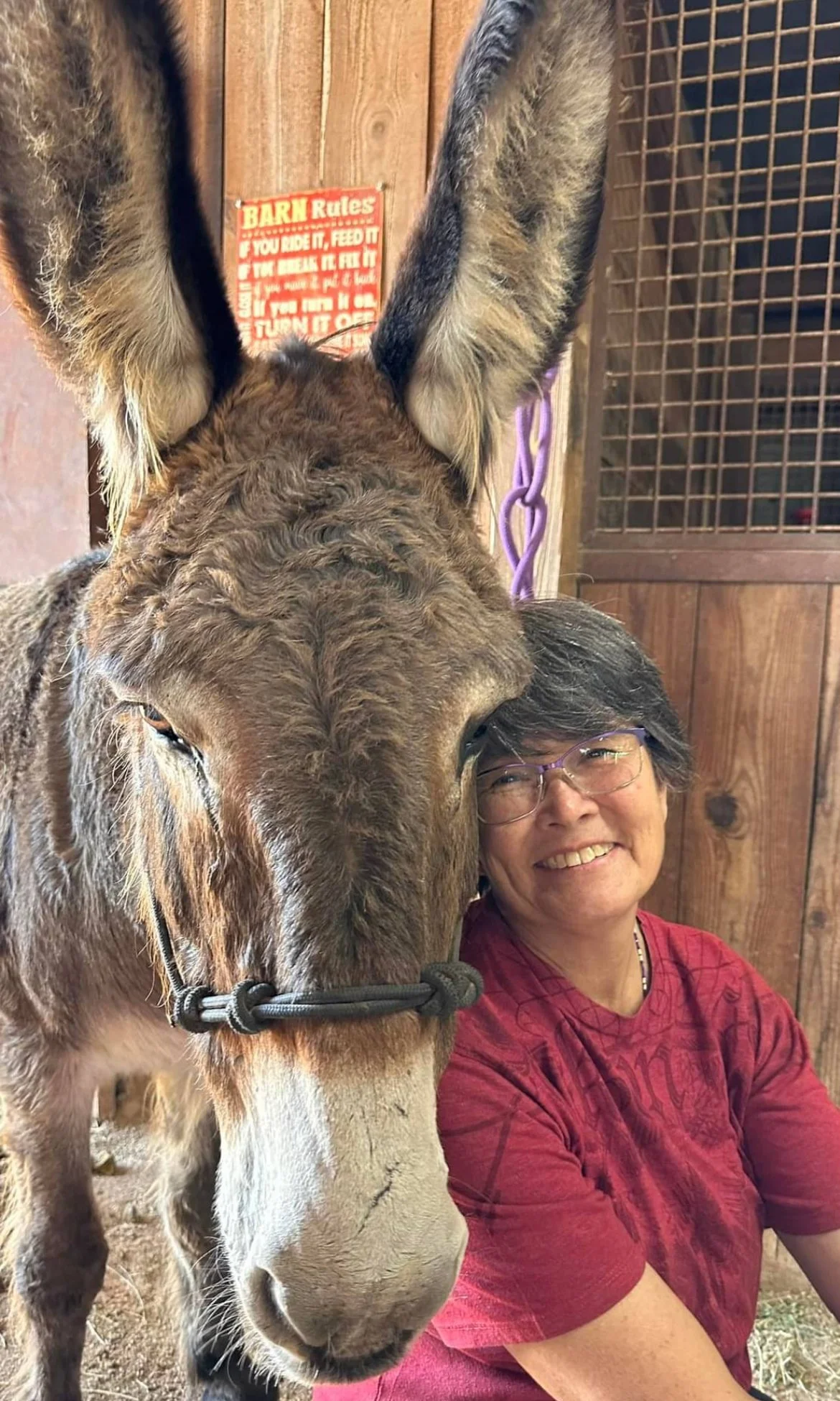 A woman smiling and wearing a red shirt sitting next to a donkey with long ears, a brown coat, and a black halter. The background shows wooden walls and a sign with barn rules.
