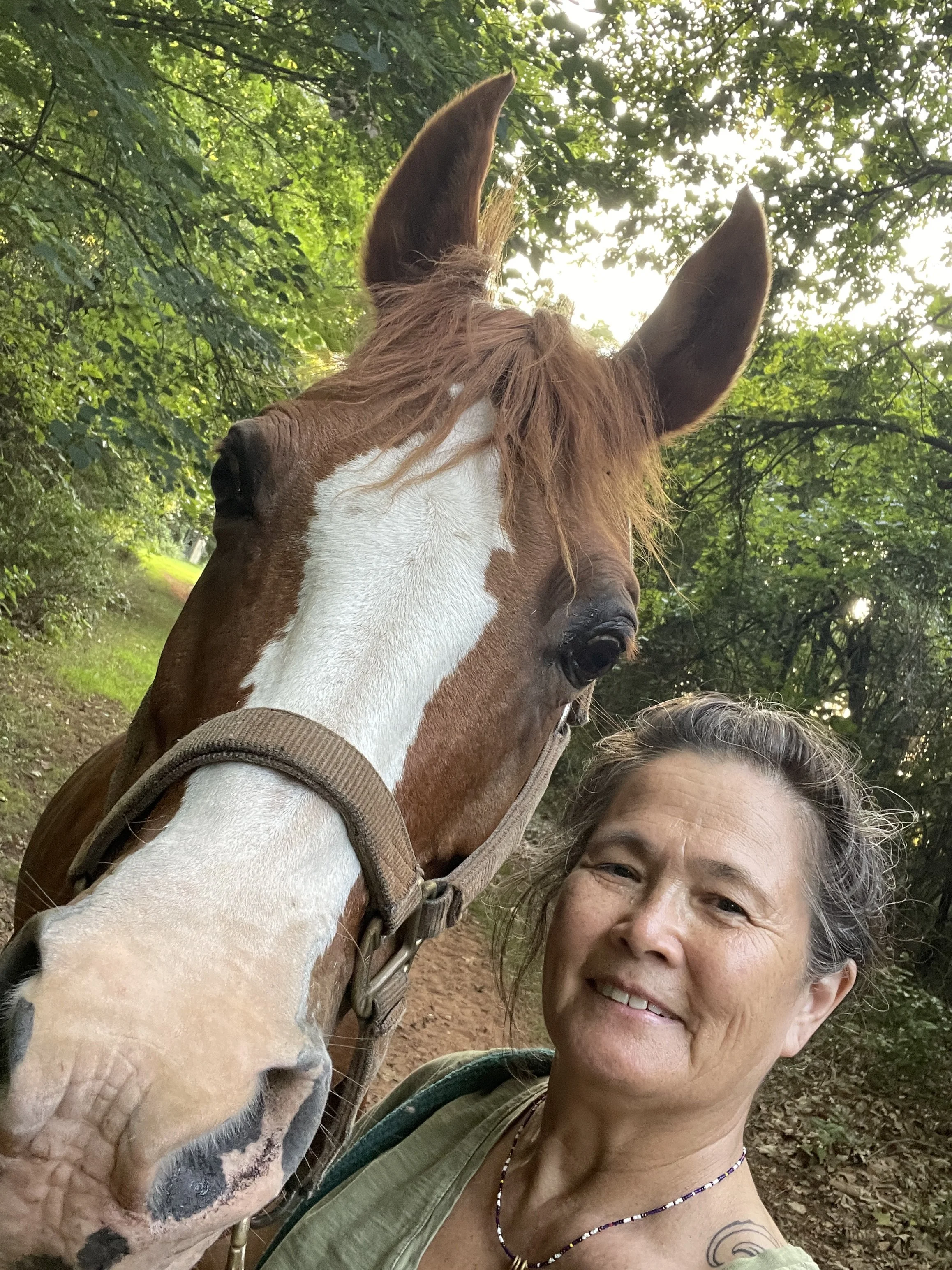 A woman takes a selfie with a large brown and white horse in a wooded outdoor setting, both looking at the camera.
