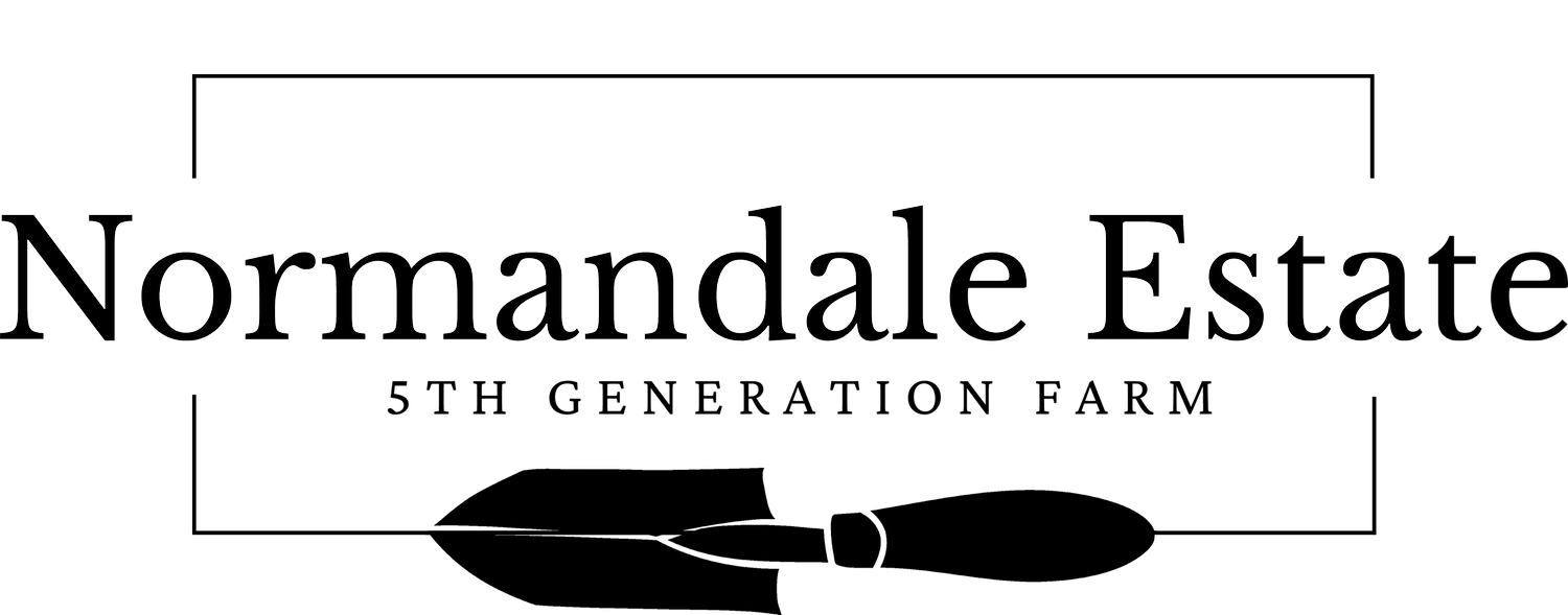 Your Site Title