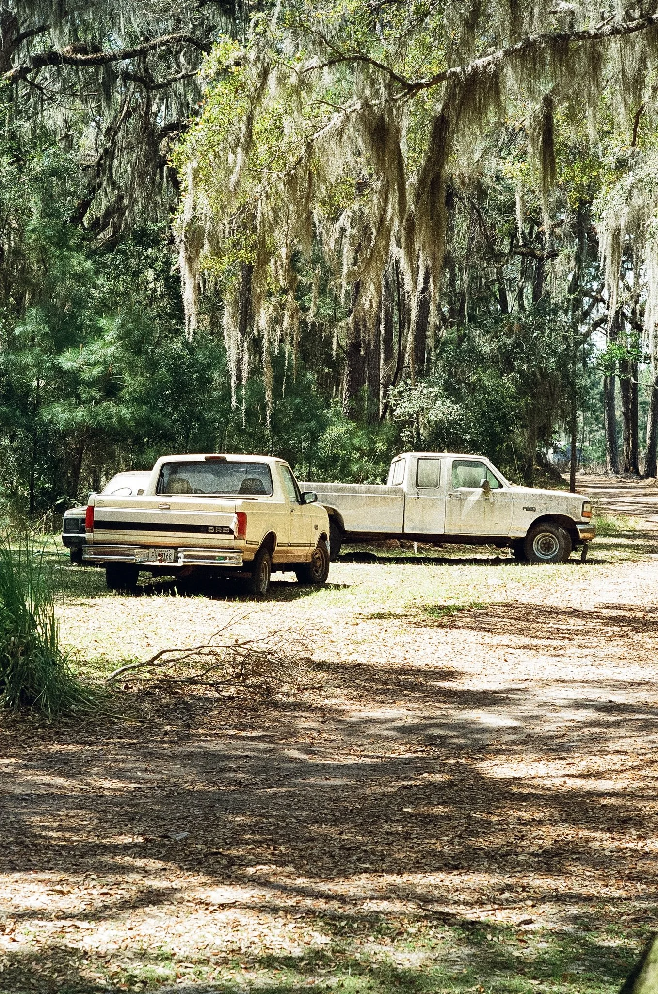 Two pickup trucks and a car parked outside under a tree.