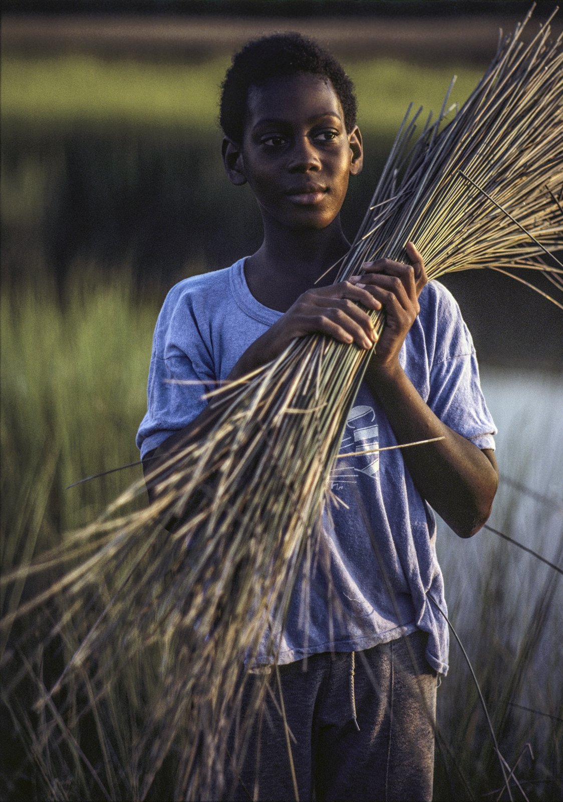 Historical image from 1987 of a young boy carrying a bundle of sweetgrass in a field during sunset.