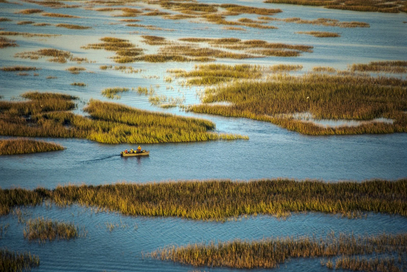 Historical photo from 1987 of a small boat traversing rice fields.