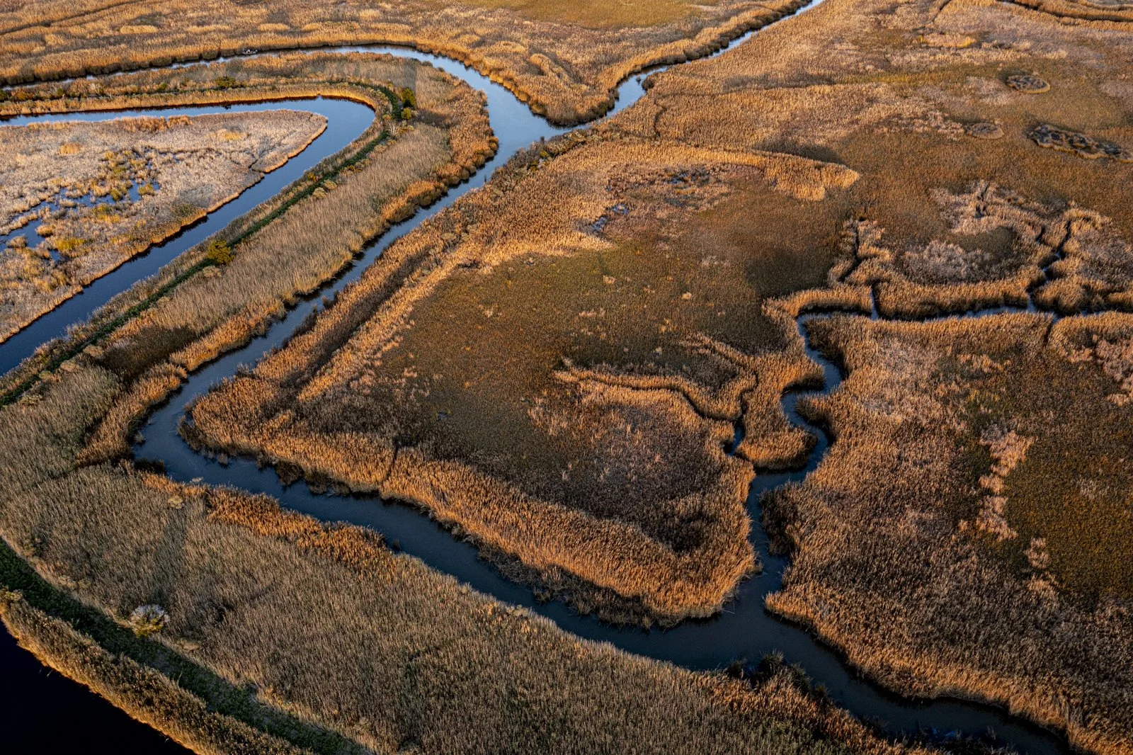 2025_11_19_Drone Santee Delta Basin_0039.jpg