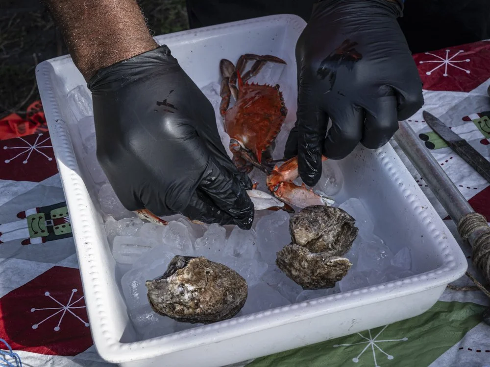 Two gloved hands are opening up a crab in a styrofoam container of ice.