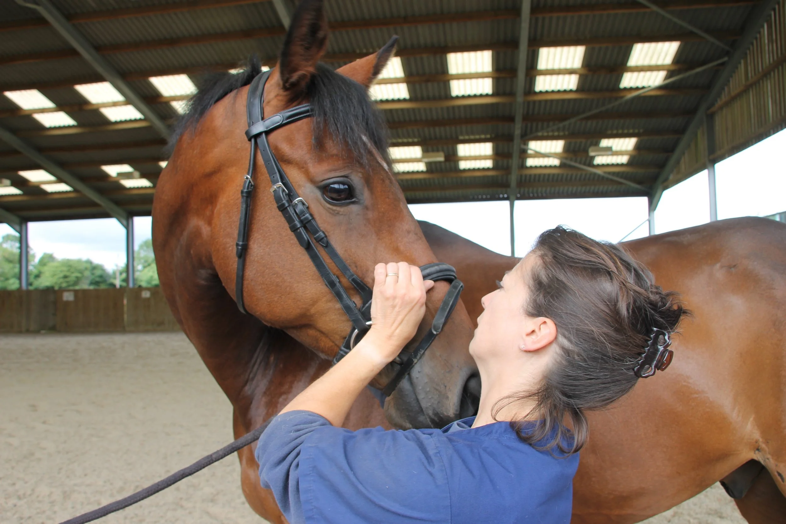 Woman in blue shirt holding and kissing a brown horse inside a covered riding arena.