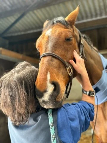 Person hugging a brown horse in a stable, with the person’s hand on the horse's face.