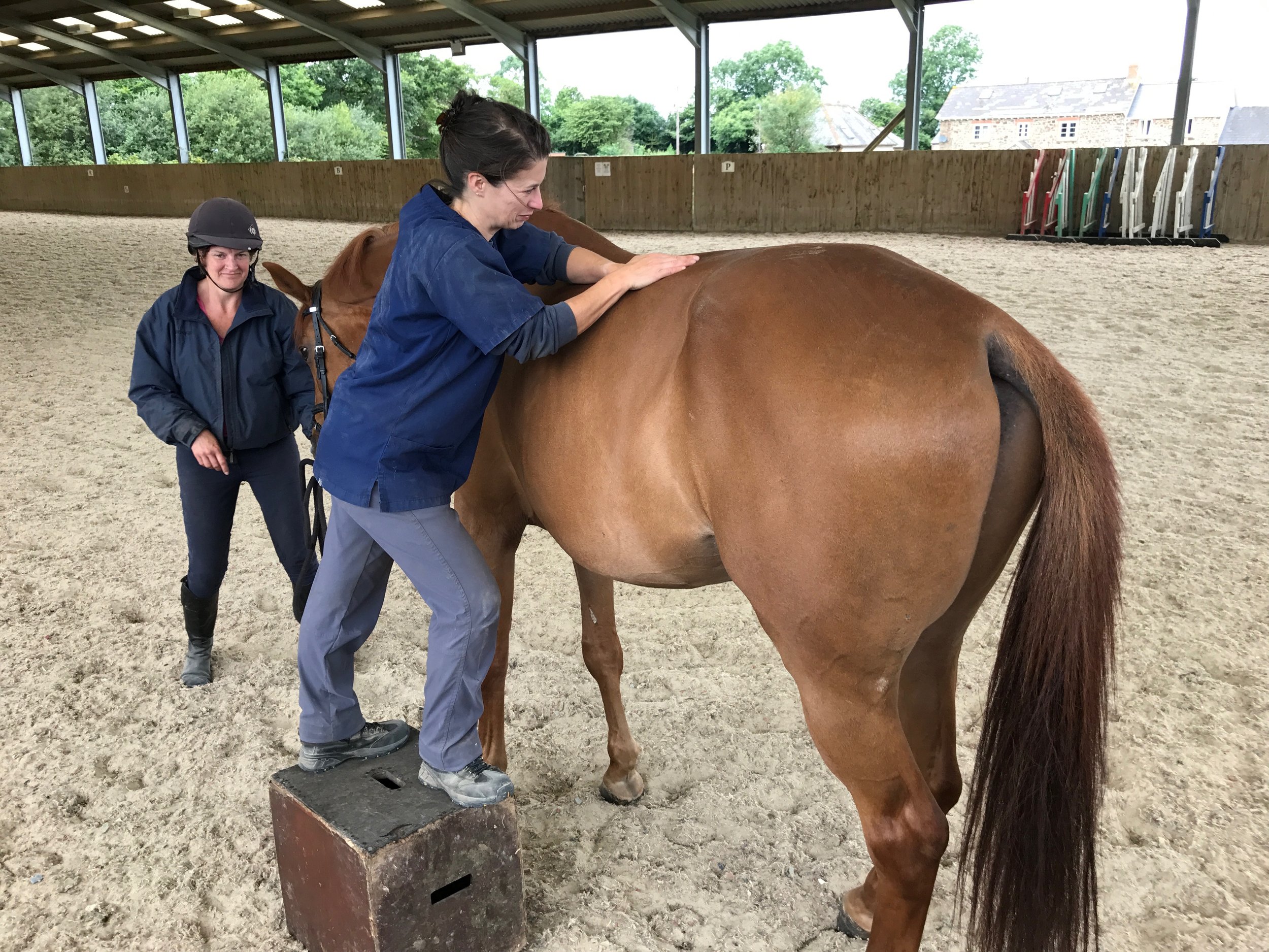 Two women and a horse inside an indoor riding arena. One woman stands on a small platform, leaning forward and placing her hands on the horse's back demonstrating equine massage