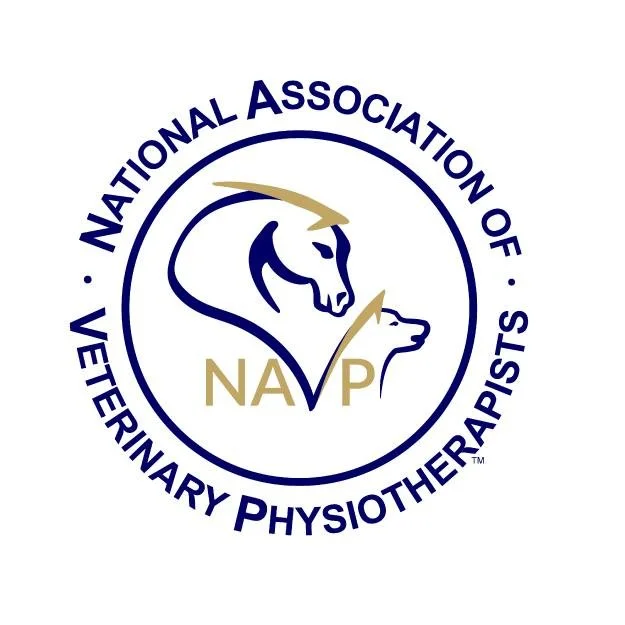 Logo of the National Association of Veterinary Physiotherapists featuring a dog and a cat with the acronym 'NAP' and circular text.