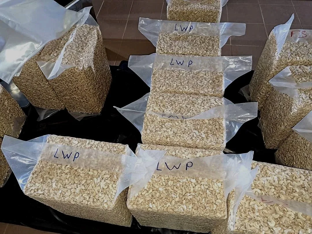 Several zippered bags filled with rolled oats, arranged on a surface. Each bag is labeled with handwritten markings.