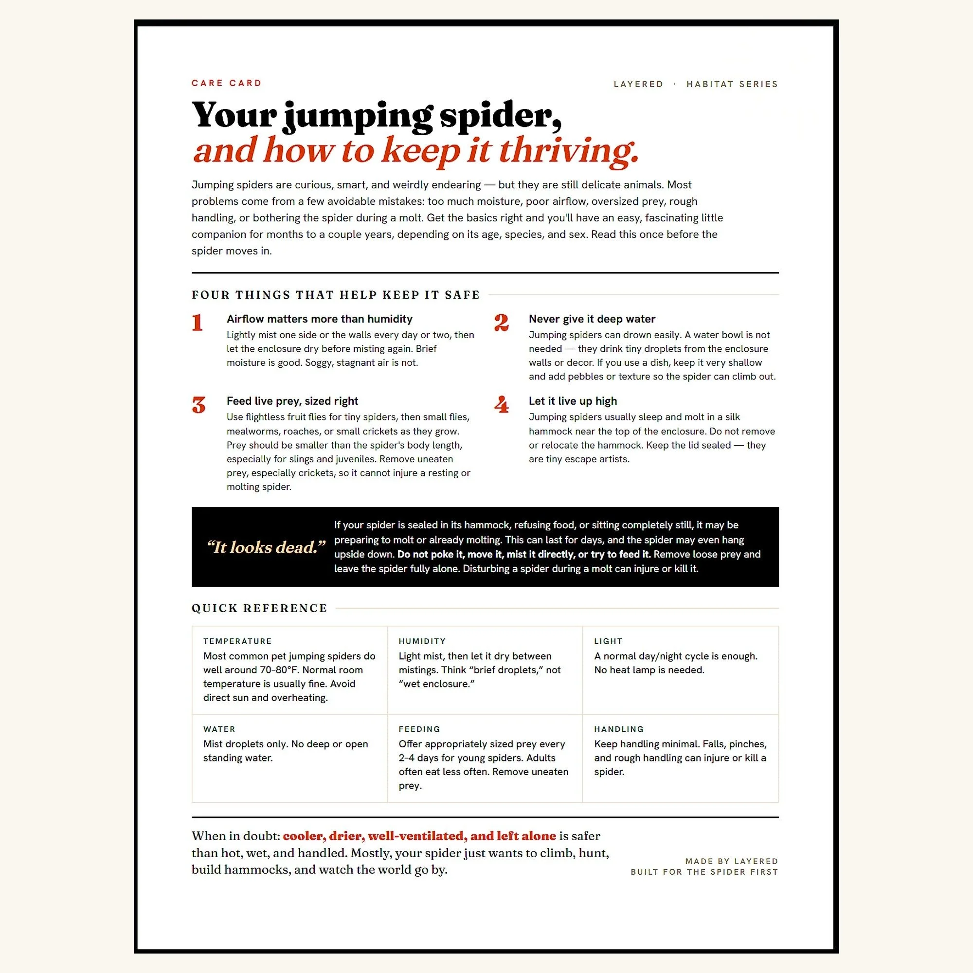 JumpingSpiderCareCard.jpg