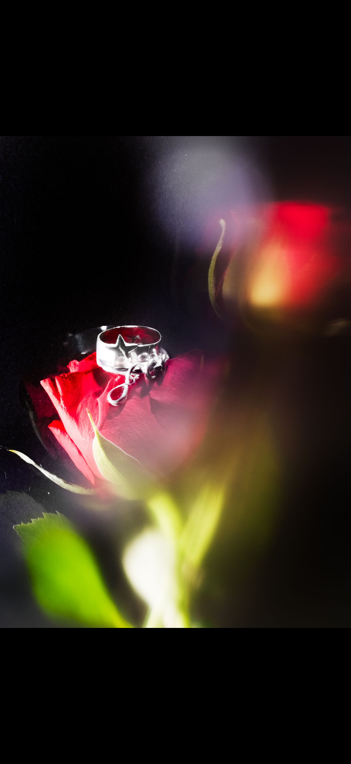 IMG_9049.png