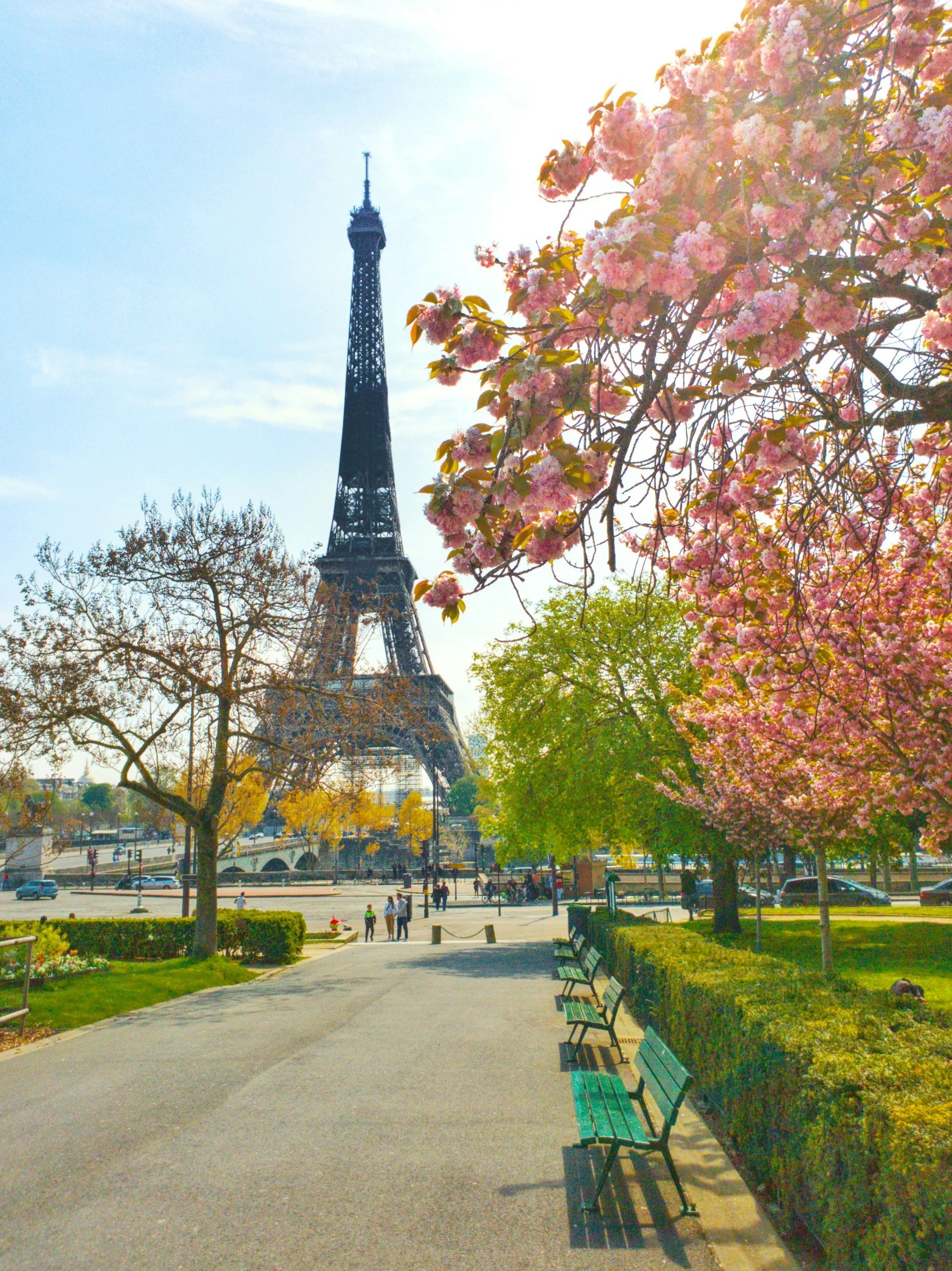 De Eiffeltoren gezien vanaf een park met bloeiende roze en groene bomen, bankjes en wandelaars.