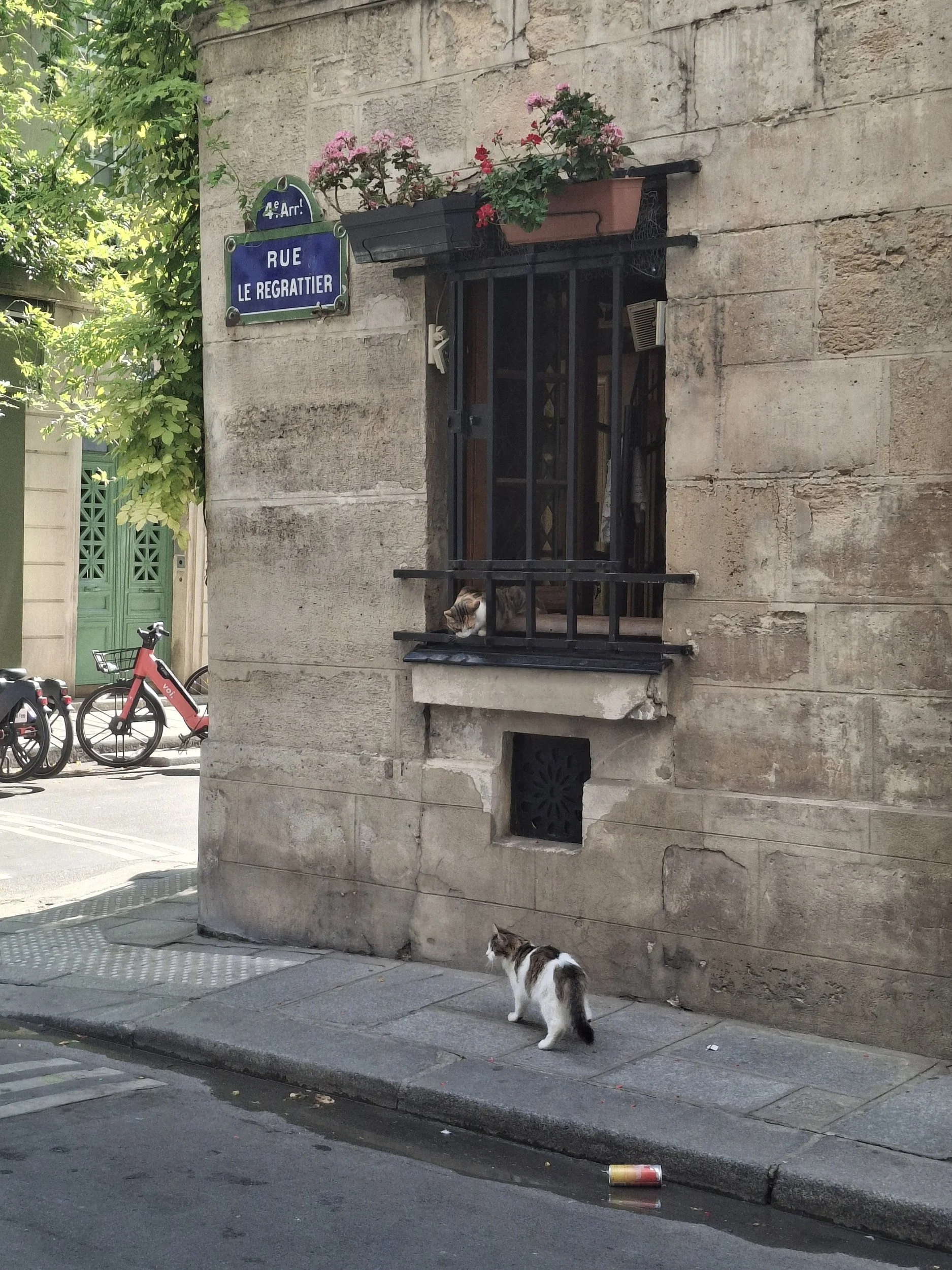 Guided tours in Paris. English tours. Bike tours in Paris, walking tours in Paris