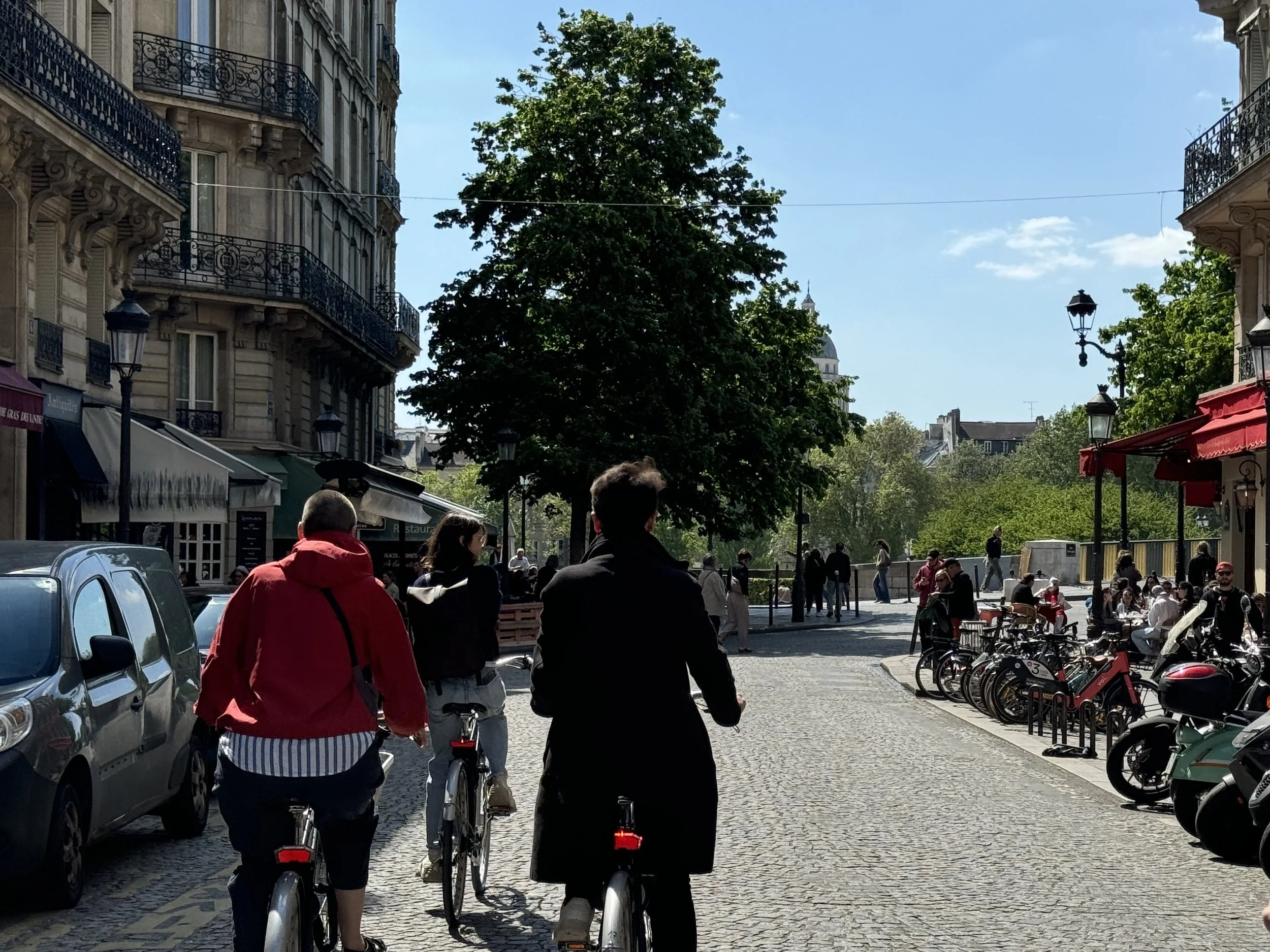 Mensen fietsen op een stadsplein met gebouwen en een grote boom, onder een blauwe lucht.