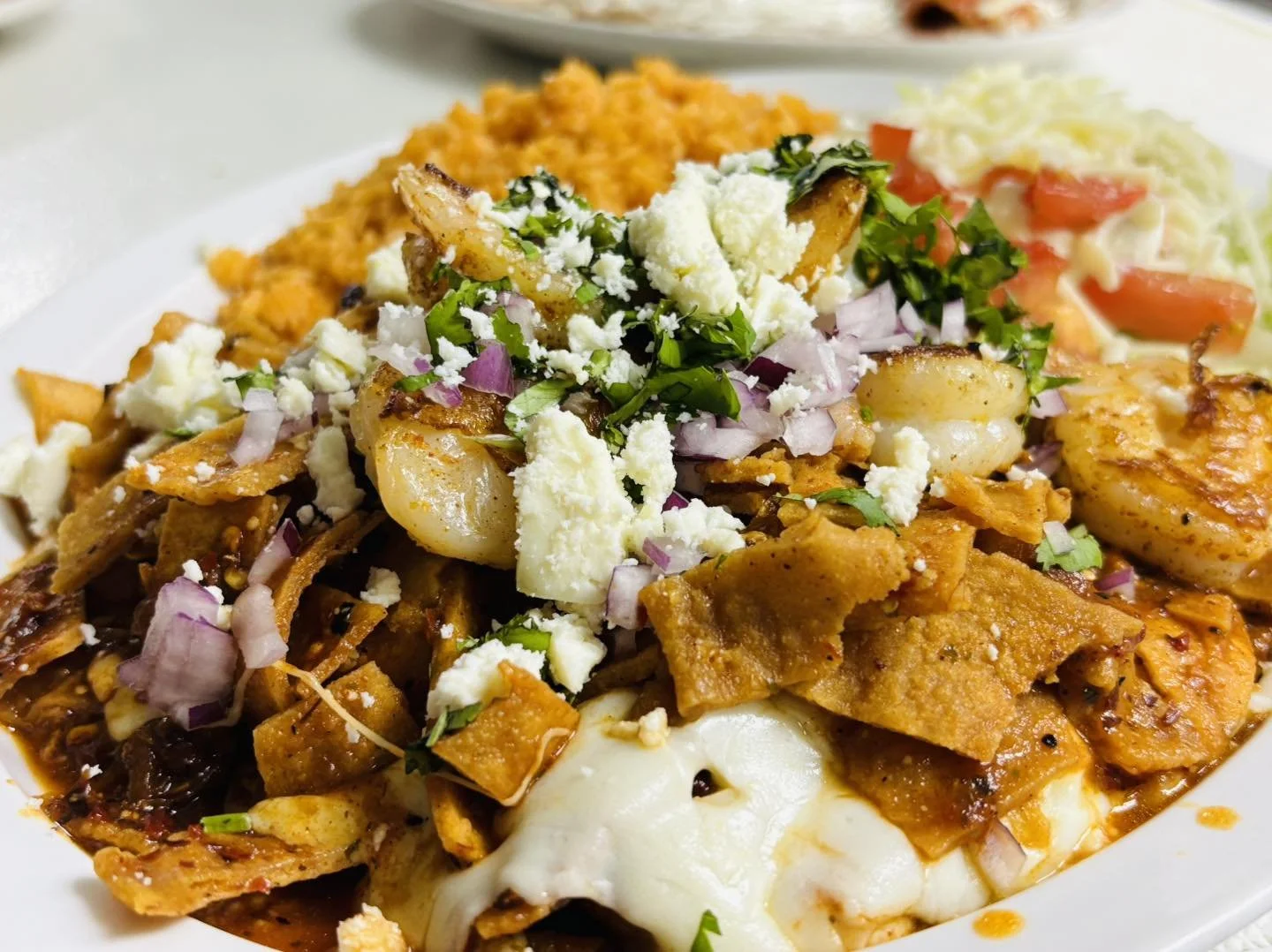 Plate of Mexican food with chilaquiles topped with cheese, onions, cilantro, and sour cream, served with rice and refried beans.