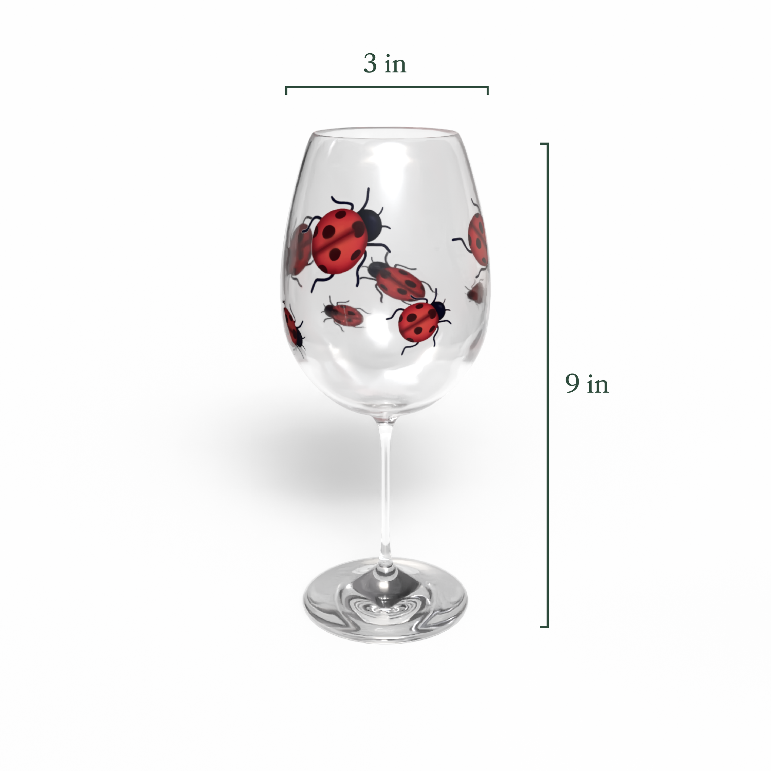 ciza_thesis_ladybug_measure.png