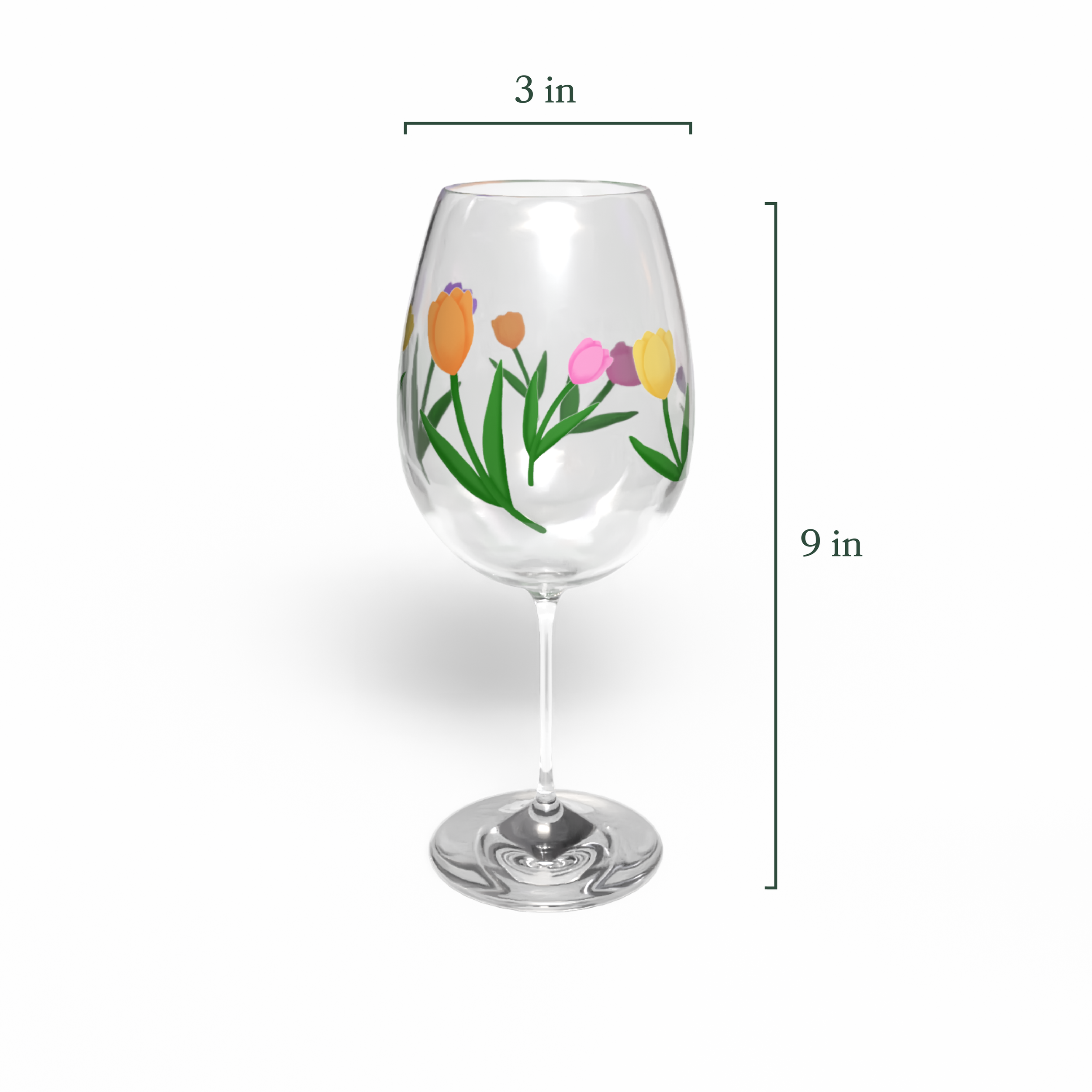 ciza_thesis_tulip_measure.png