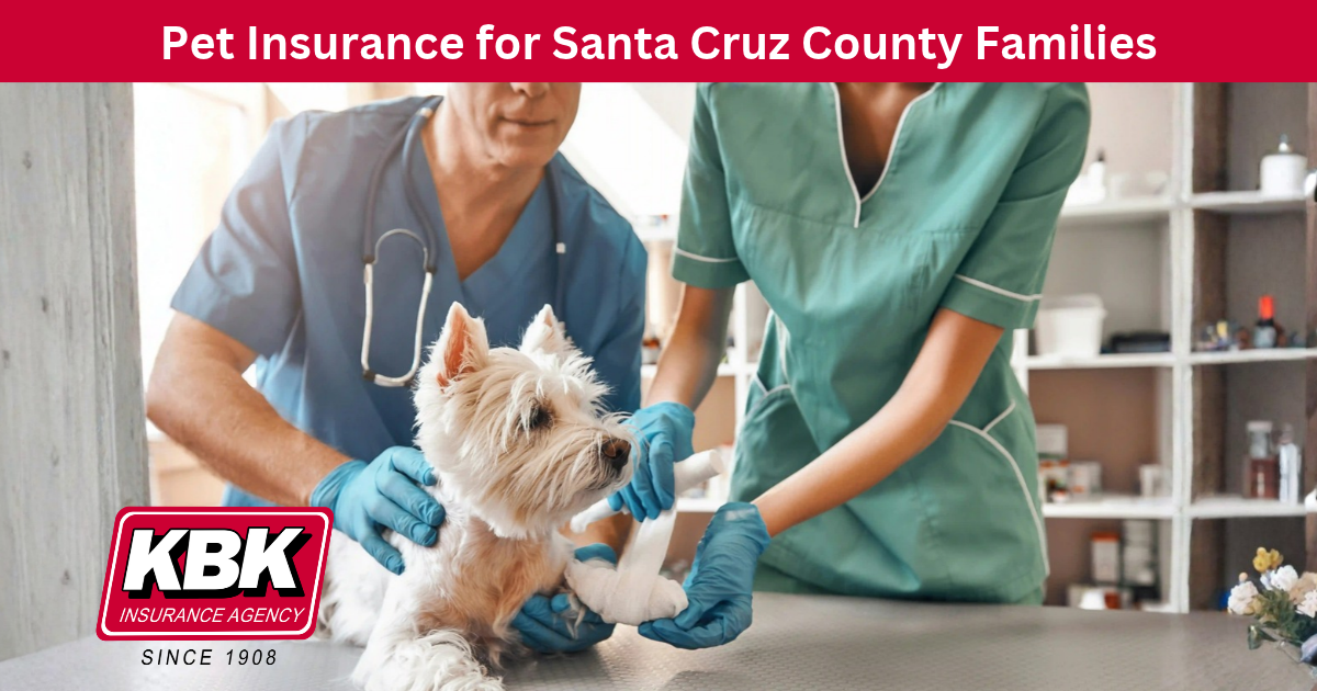 Pet Insurance in Santa Cruz County: What Every Pet Owner Should Know