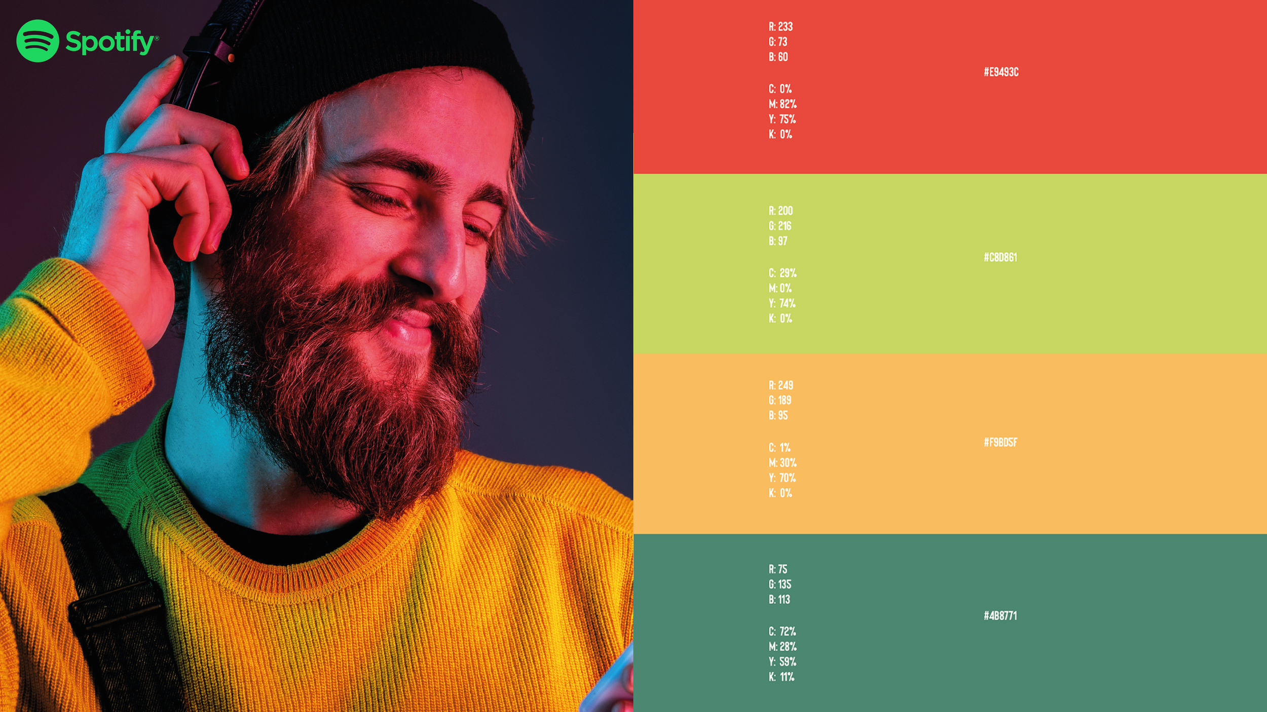 Portafolio Spotify-02.png