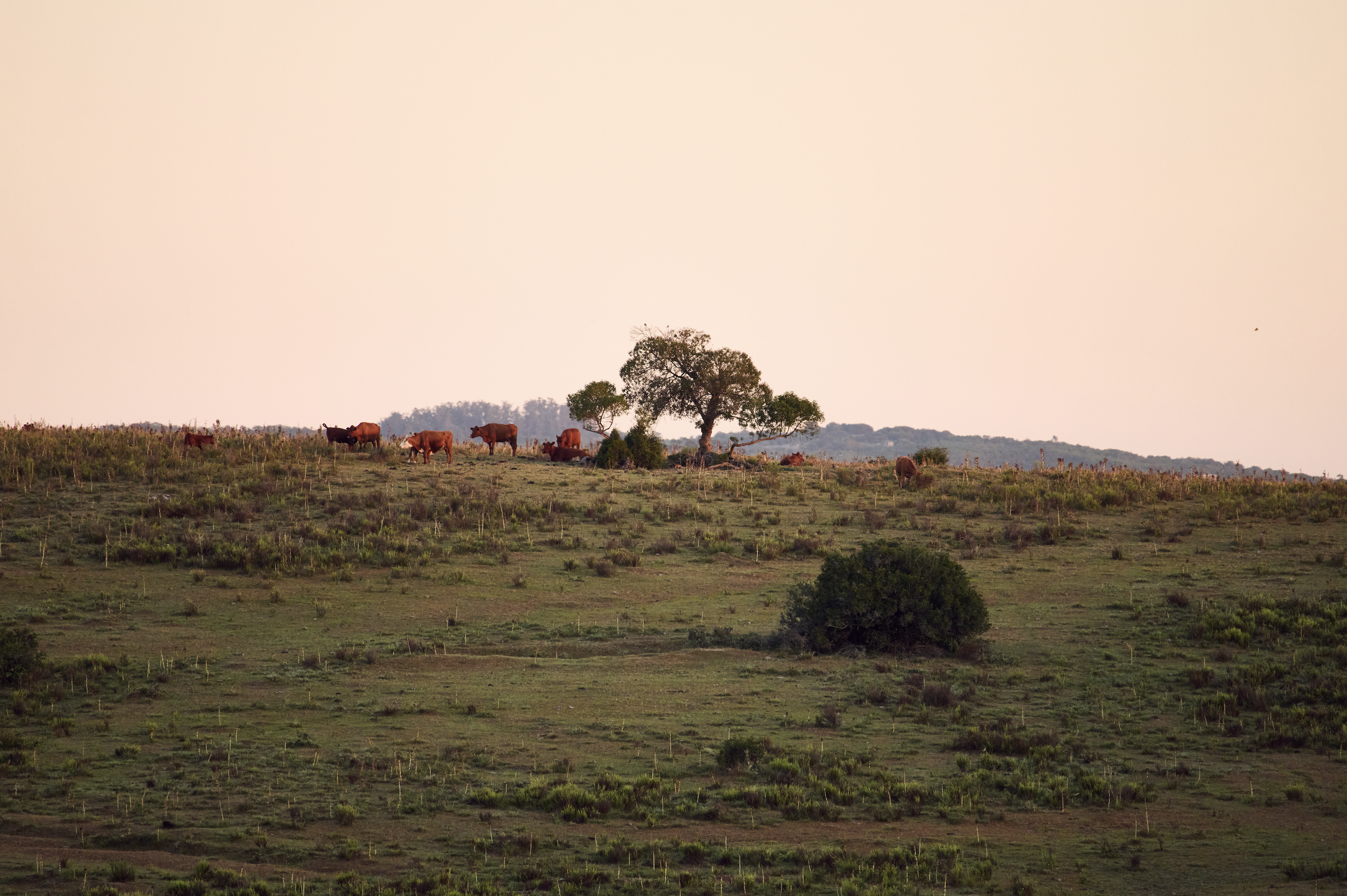 Screenshot 2026-04-02 at 2.50.31 PM.png