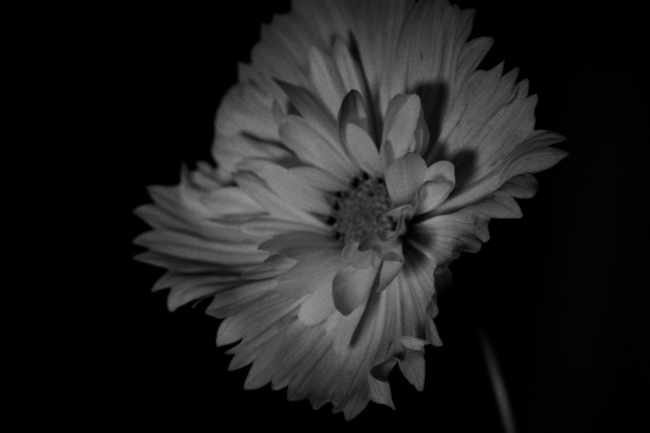 BX4A9918.jpg