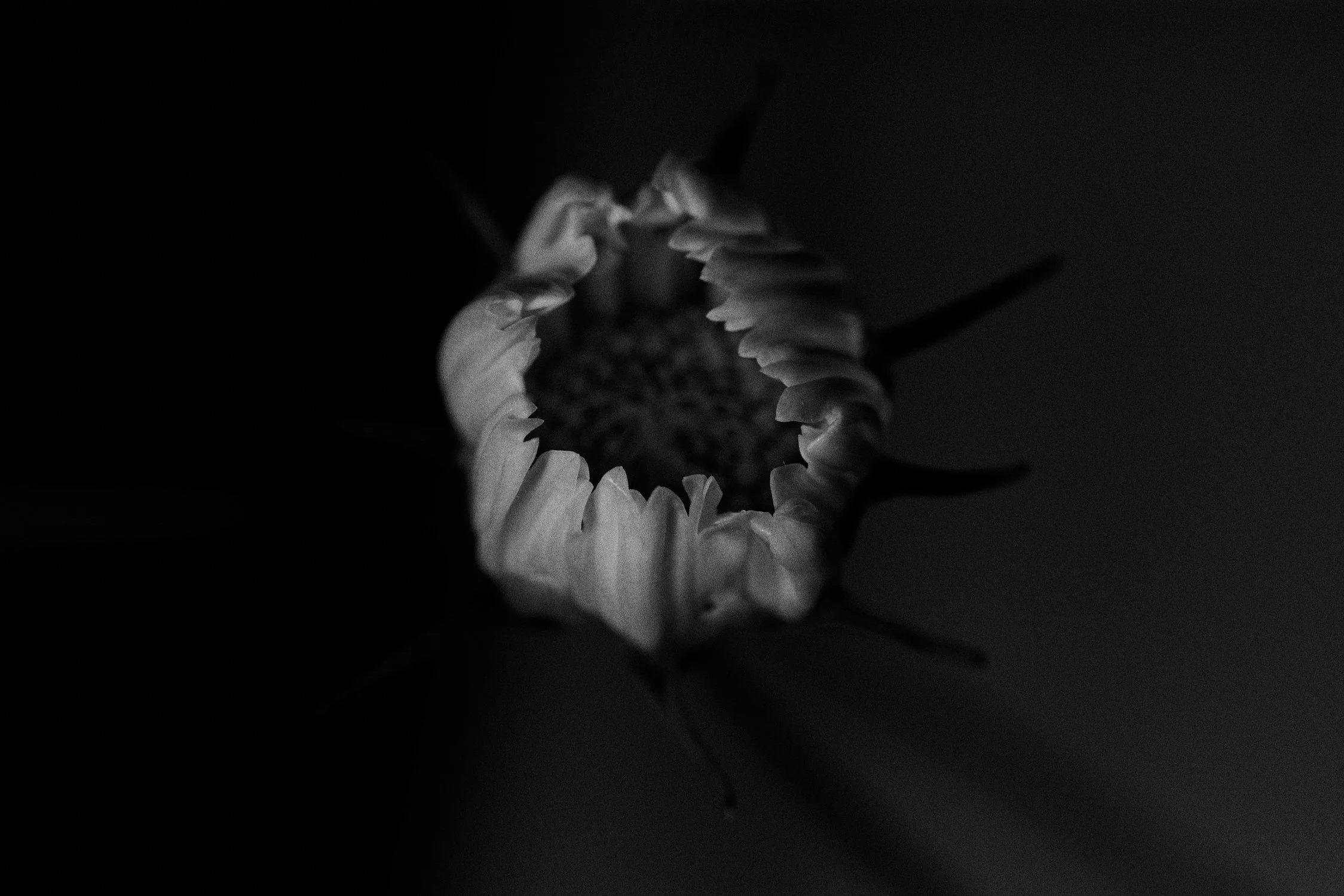 BX4A9919.jpg