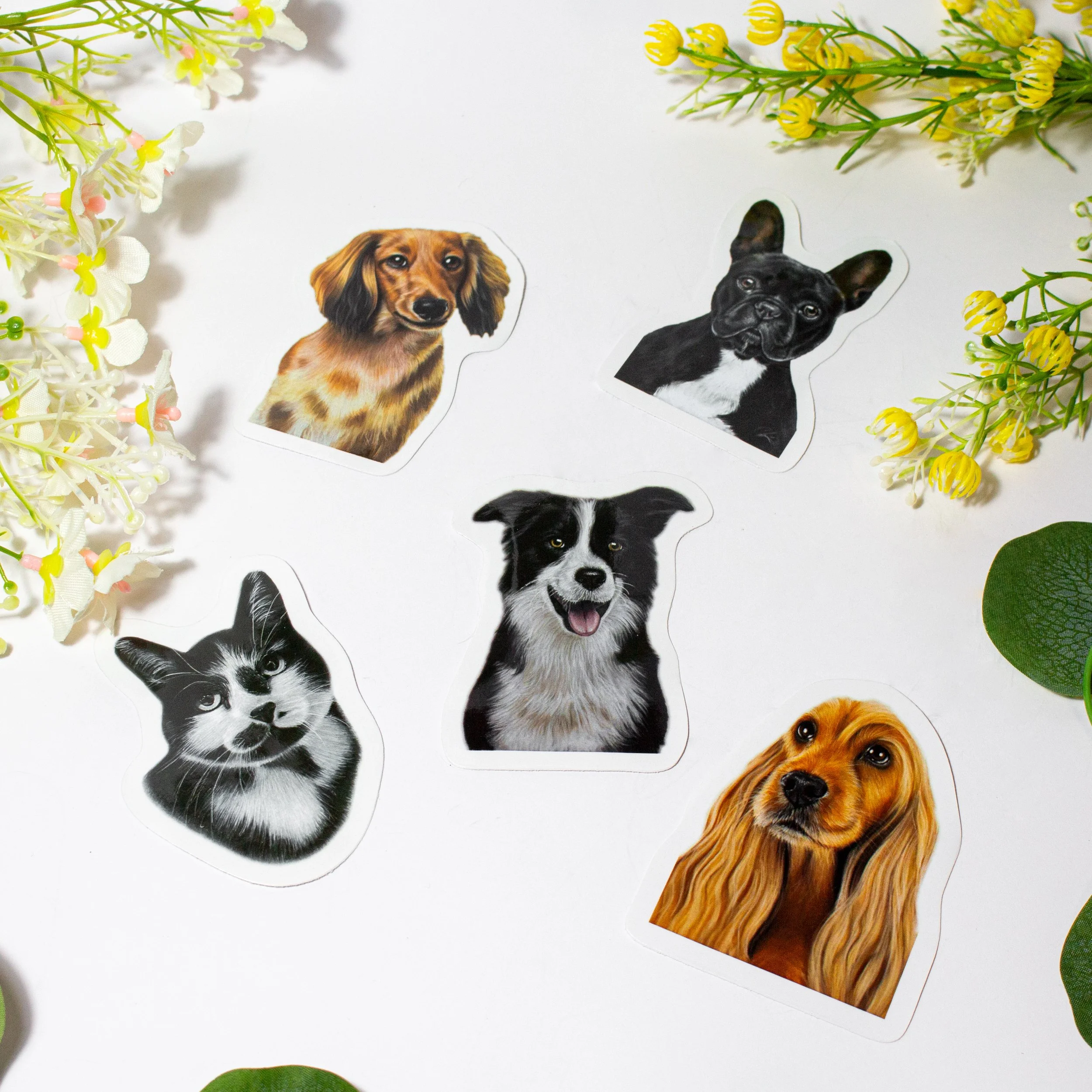 stickers pet.jpg (Copy)