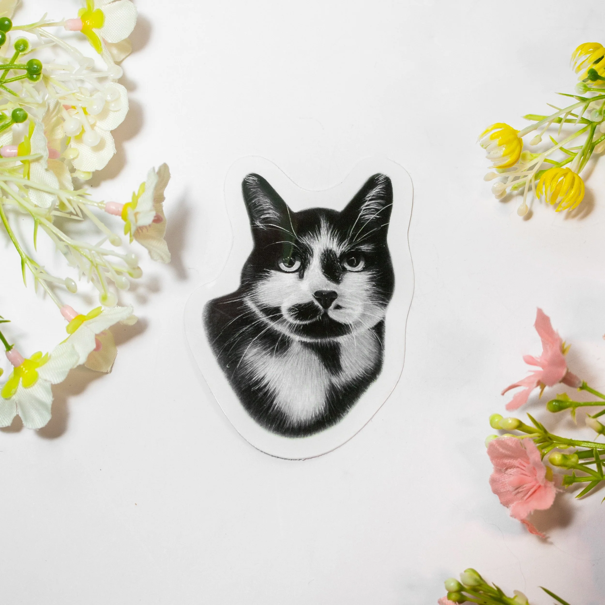 Cat Sticker