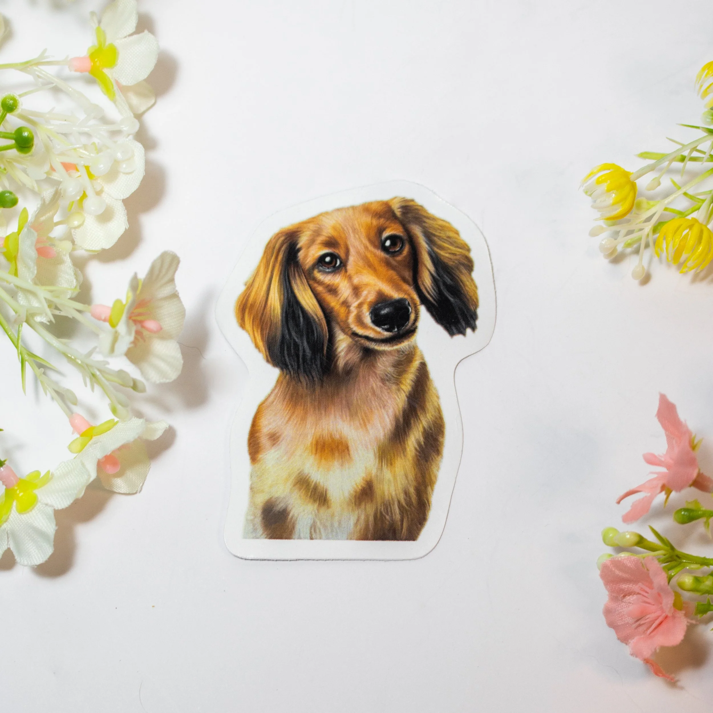 sticker sausage dog.jpg