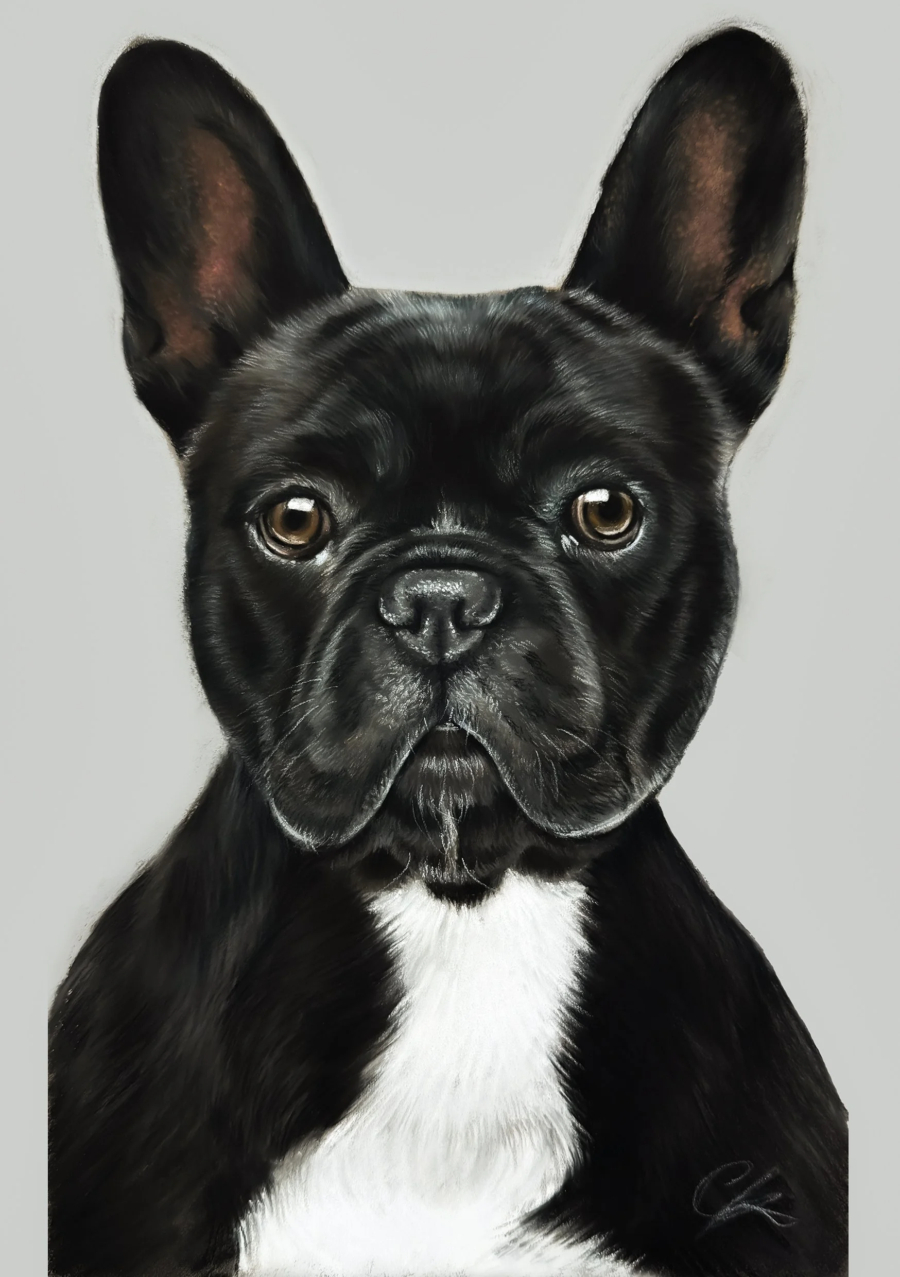 Vasauka.com_French bulldog Soft Pencils 20x30.jpg
