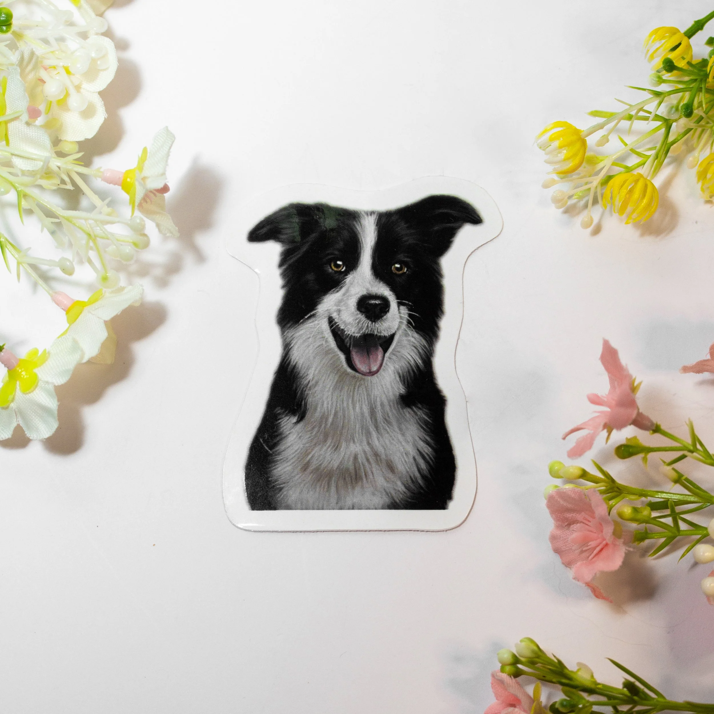 sticker border collie.jpg
