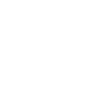 Silhouette of a bird in flight against a black background.