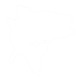 Silhouette of a fish