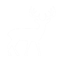 Silhouette of a deer with antlers