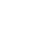 Silhouette of a wild boar