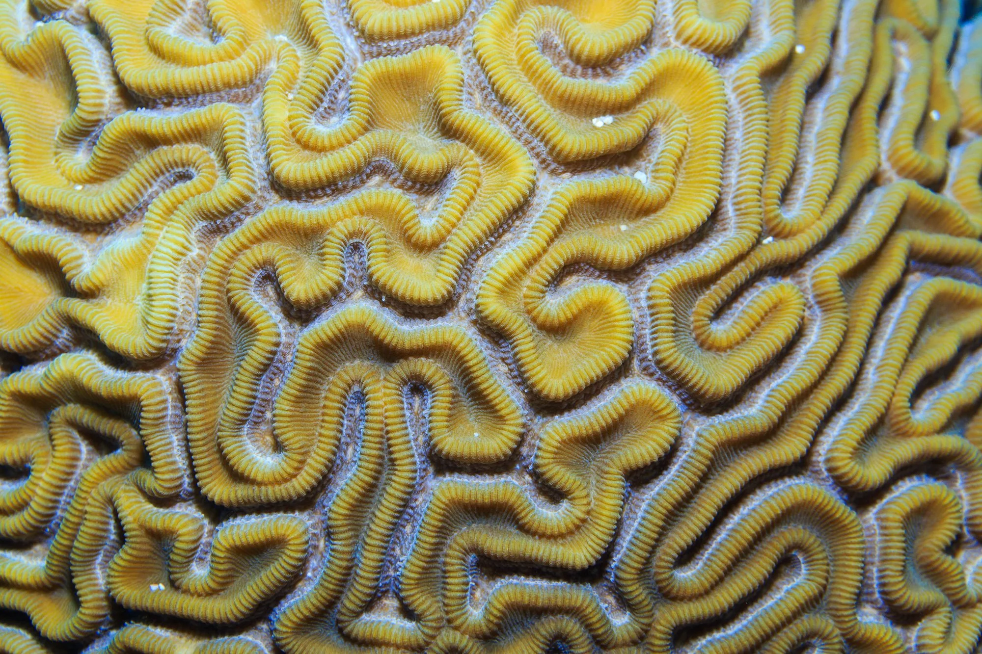 8w7a3551_22213574391_o.jpg
