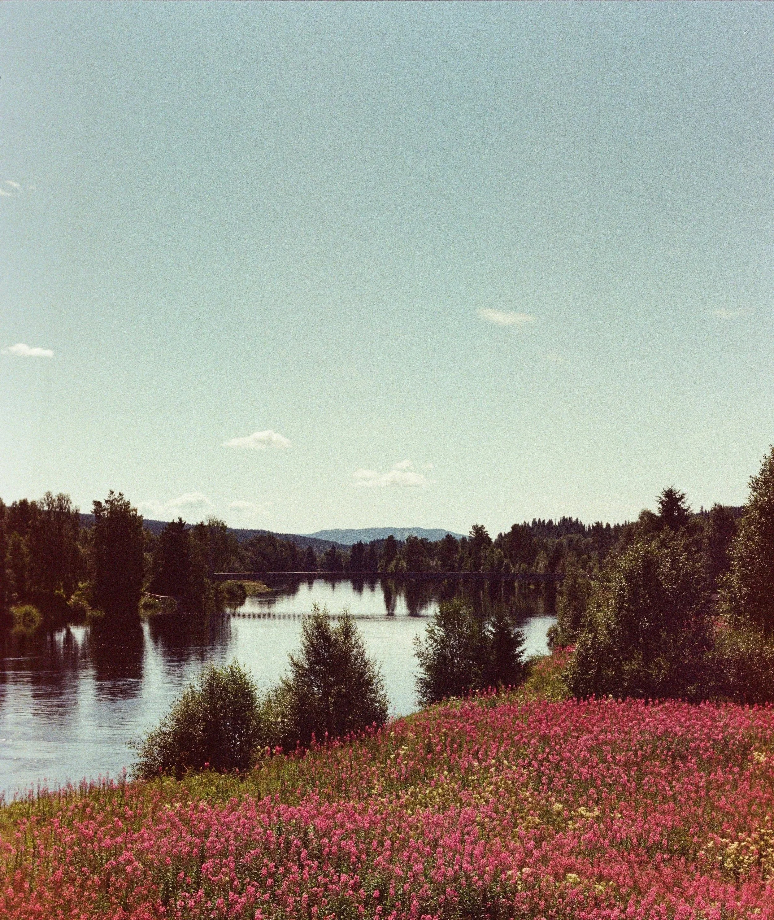 Bild0002.jpg