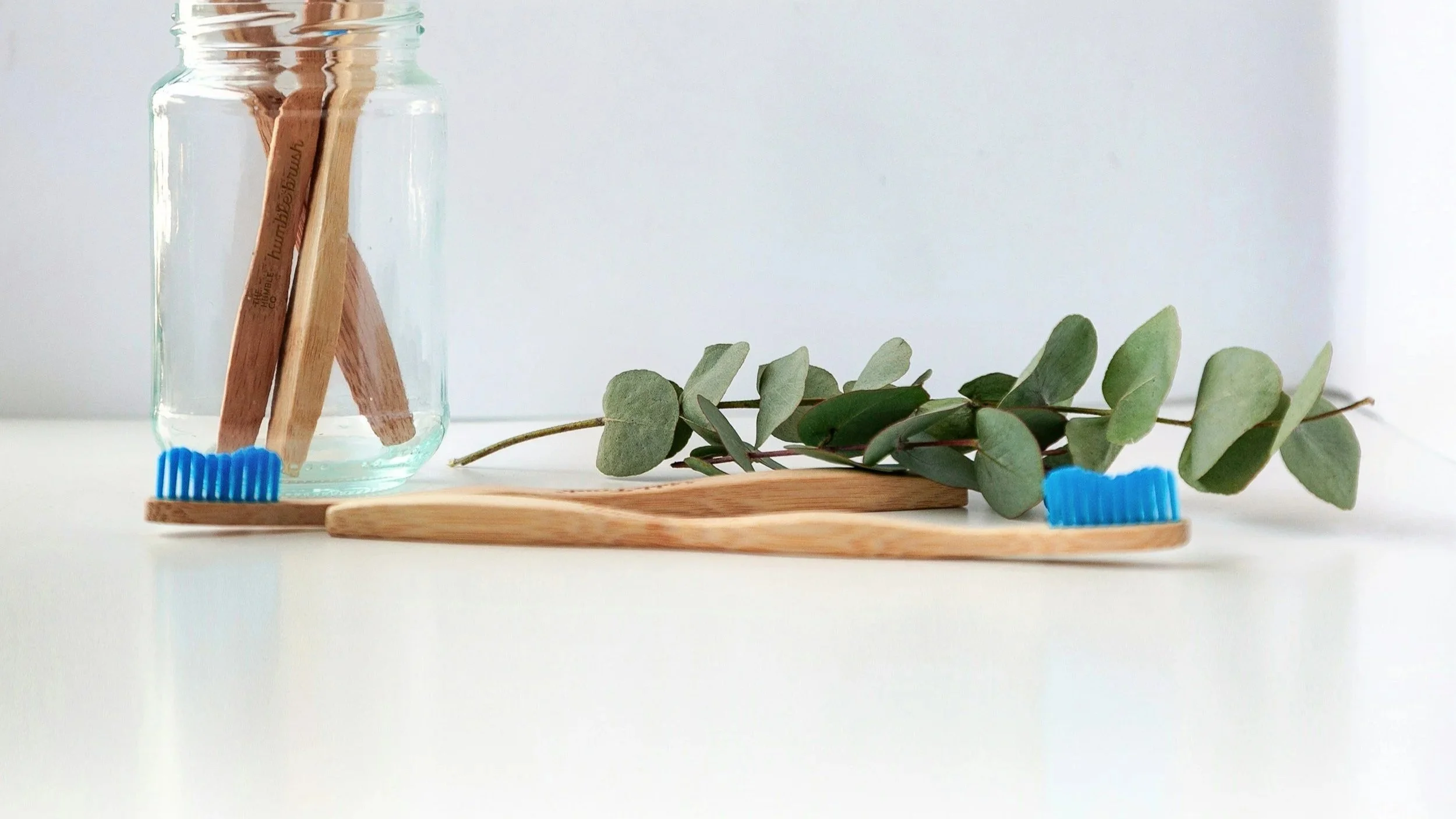 Vaso de vidrio con cepillos de dientes de madera, una rama de hojas verdes y una base de madera, en un fondo blanco