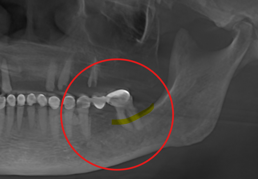 Captura de pantalla 2025-12-19 122454.png