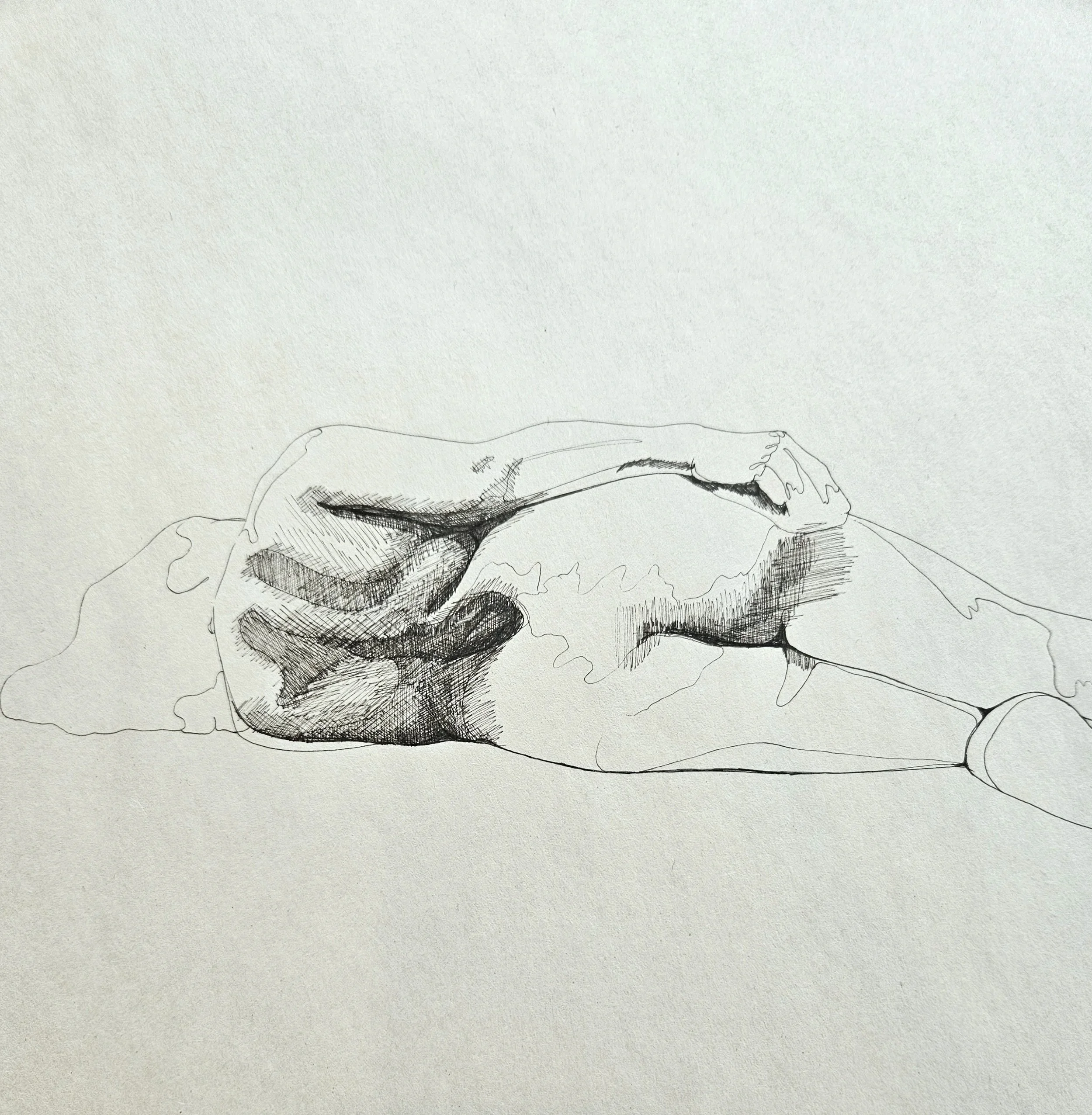 Life Drawing