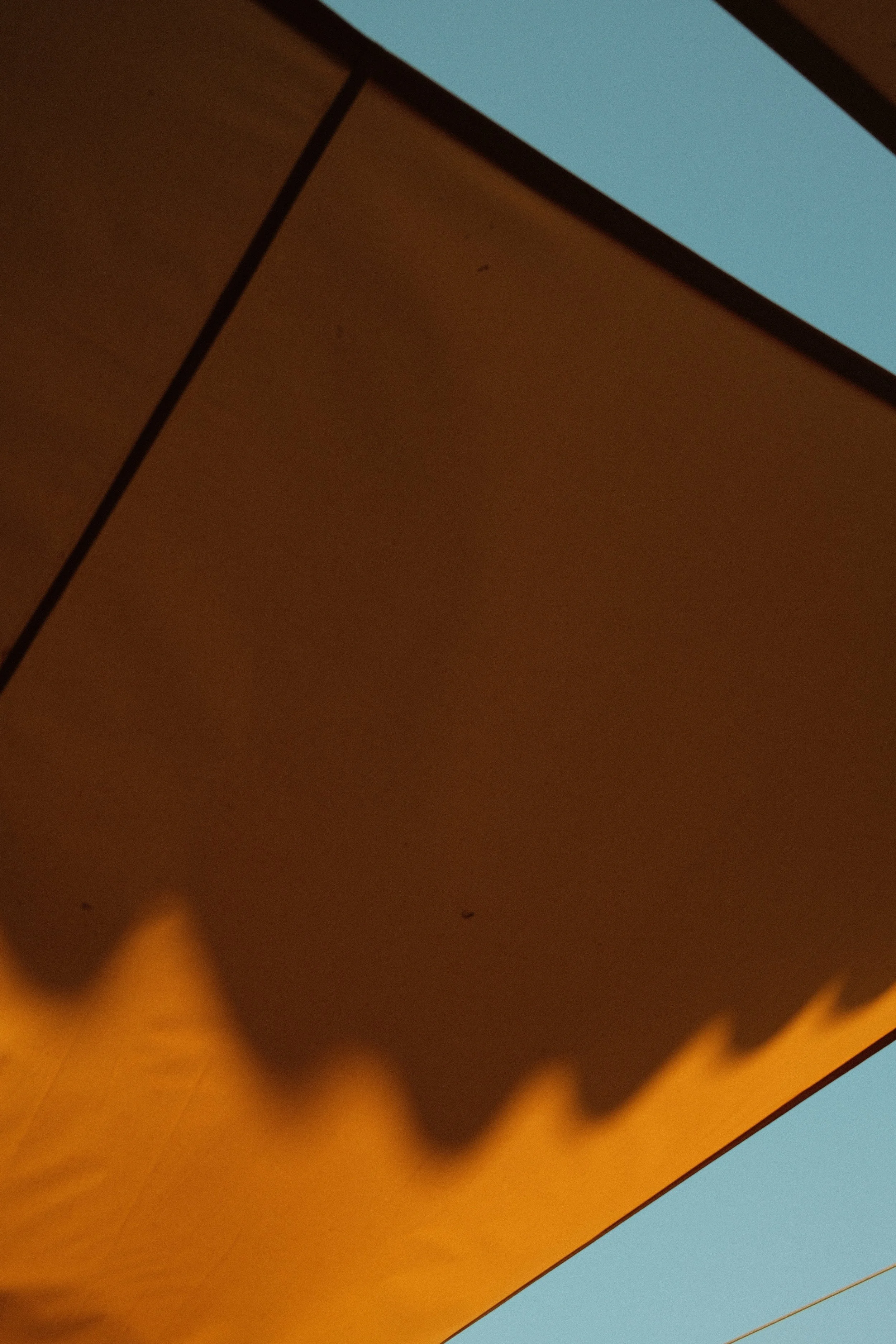 DSCF8719.jpg