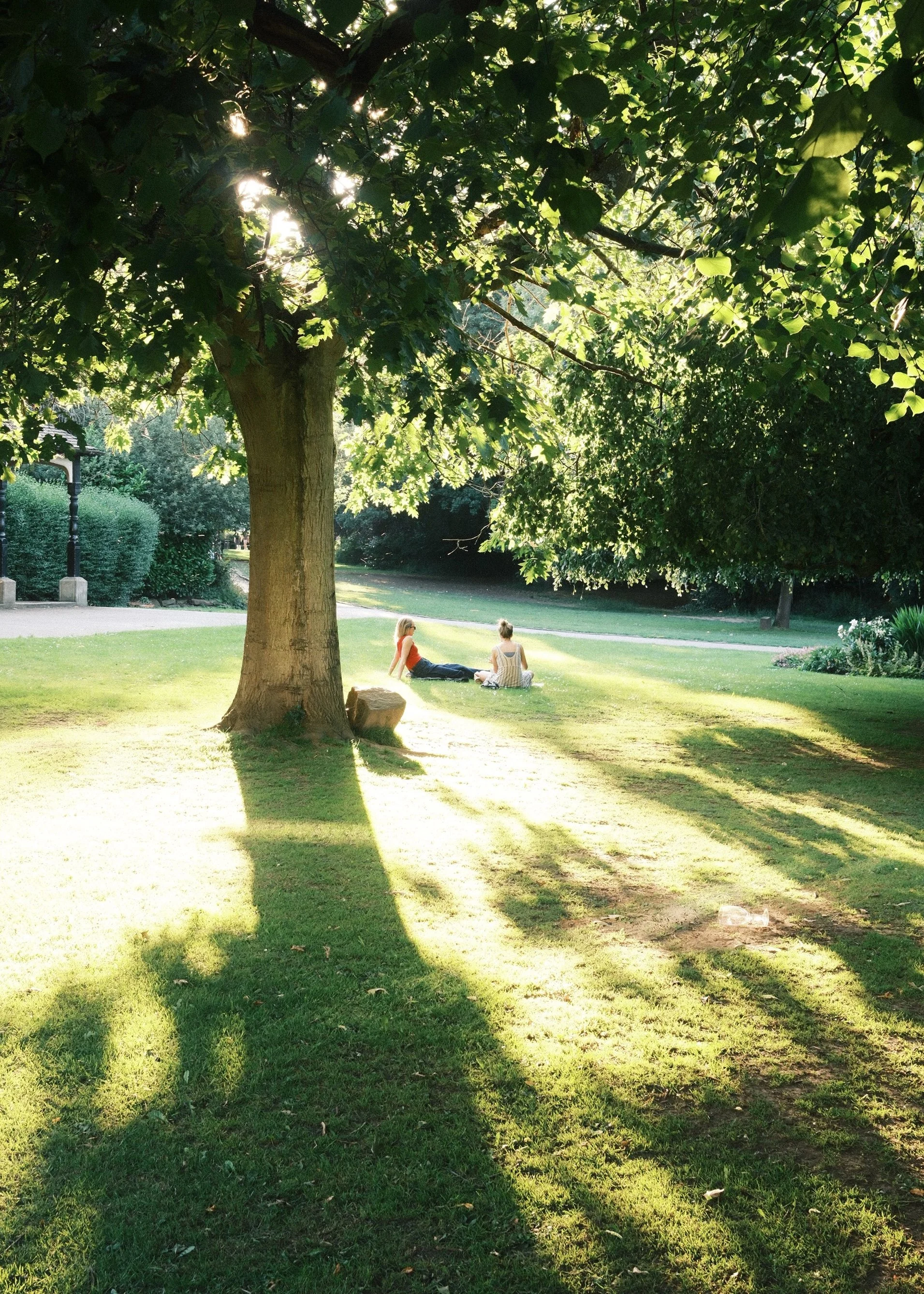 DSCF9029.jpg