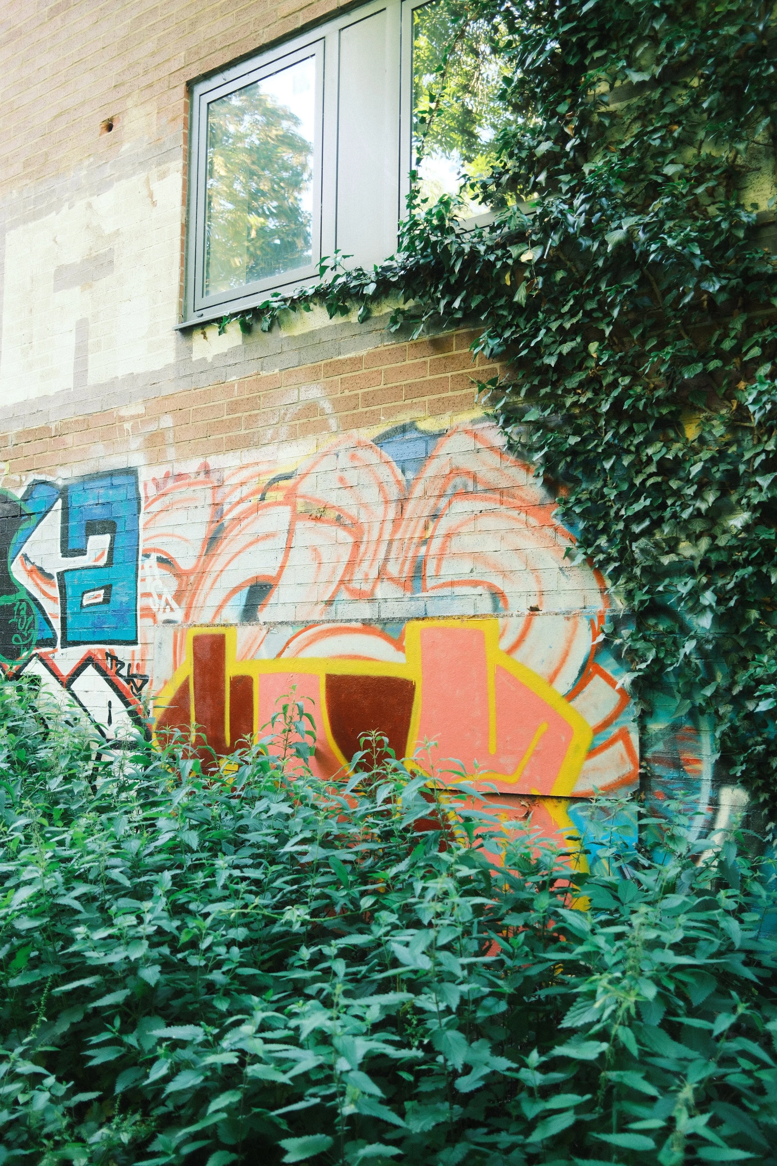 DSCF8941.jpg