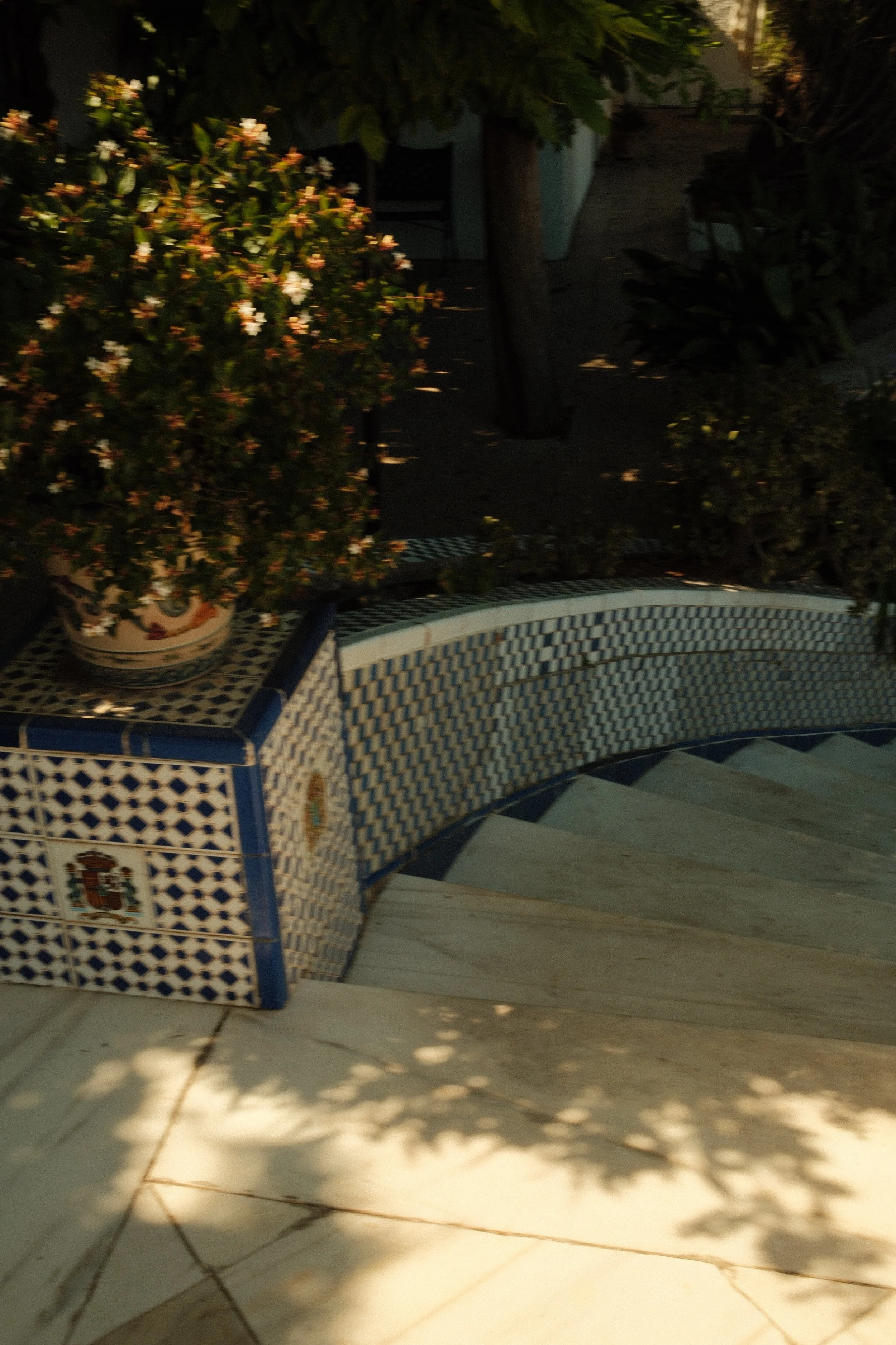 DSCF8754.jpg