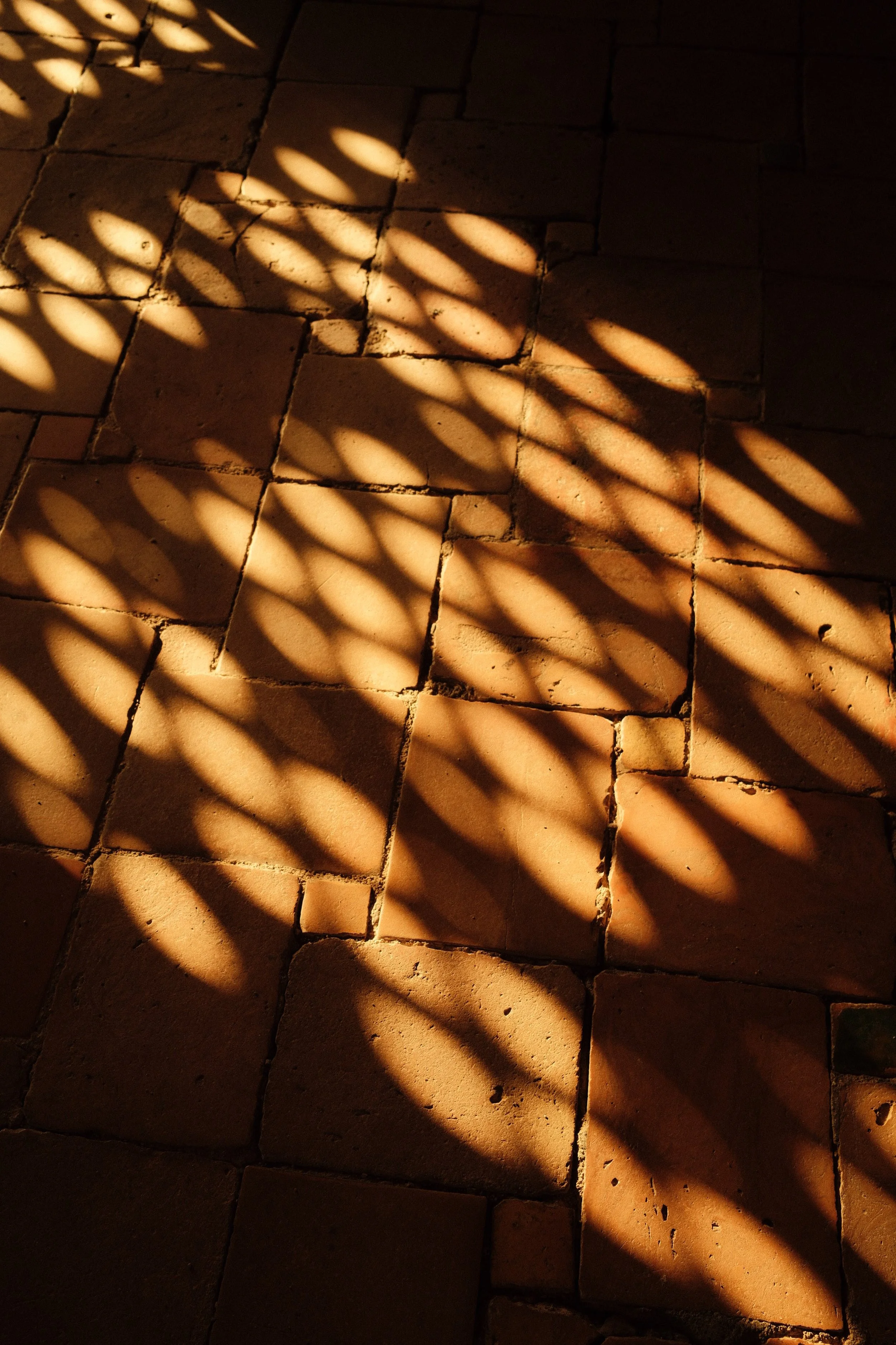 DSCF9629.jpg