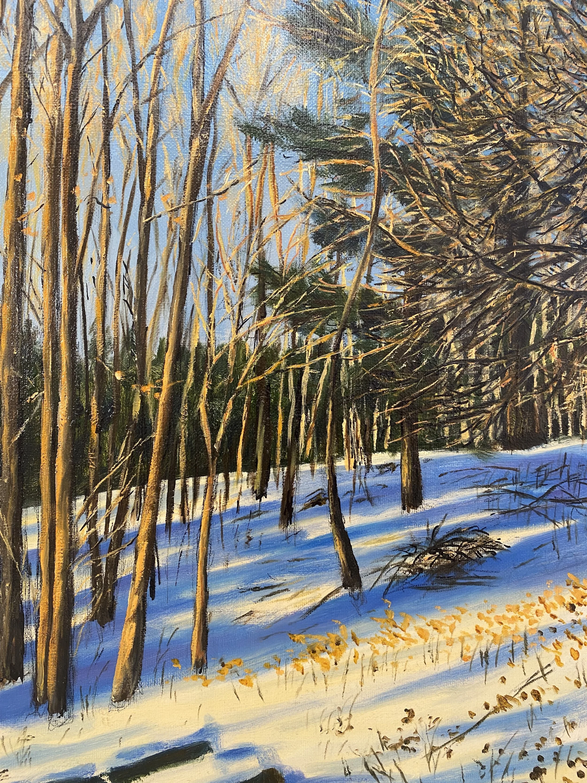Winter Afternoon