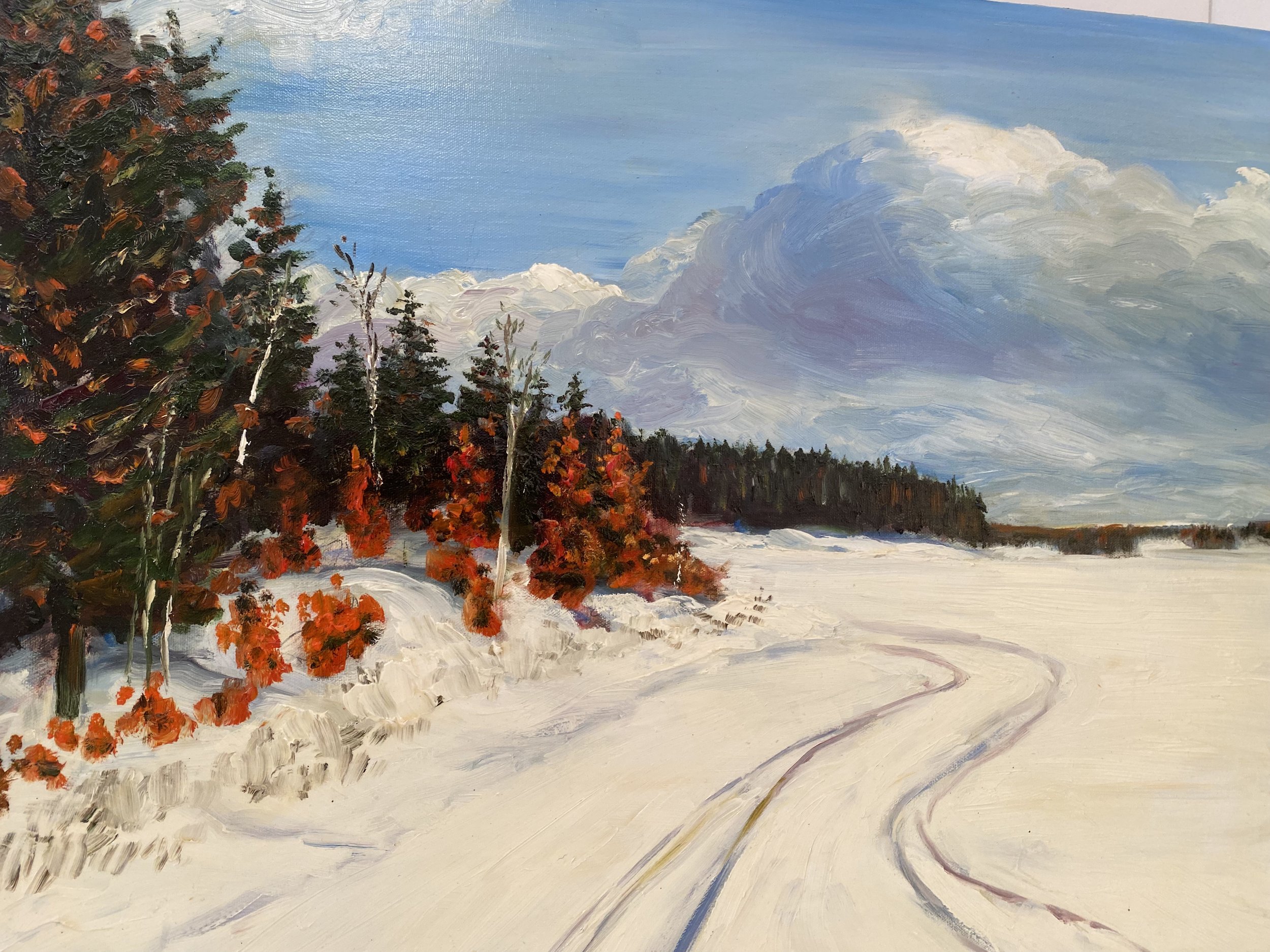 Ski Tracks on the Lake